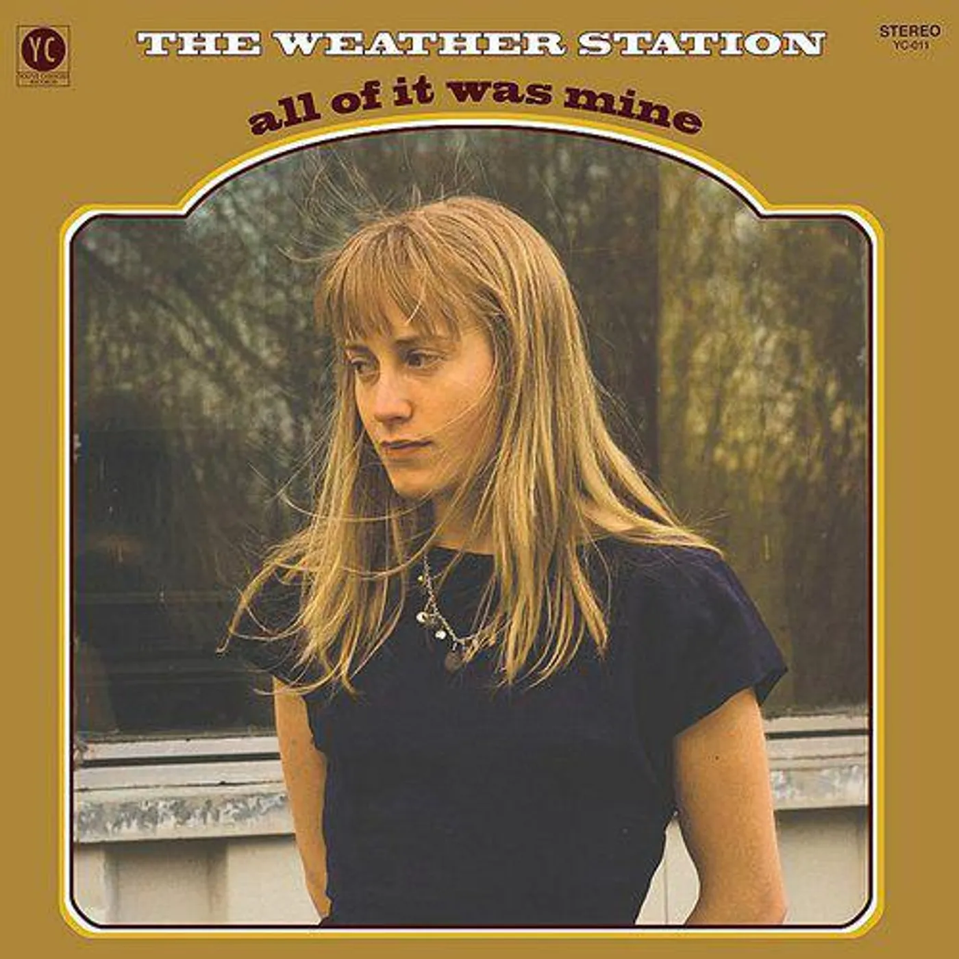 The Weather Station All Of It Was Mine Vinyl Record