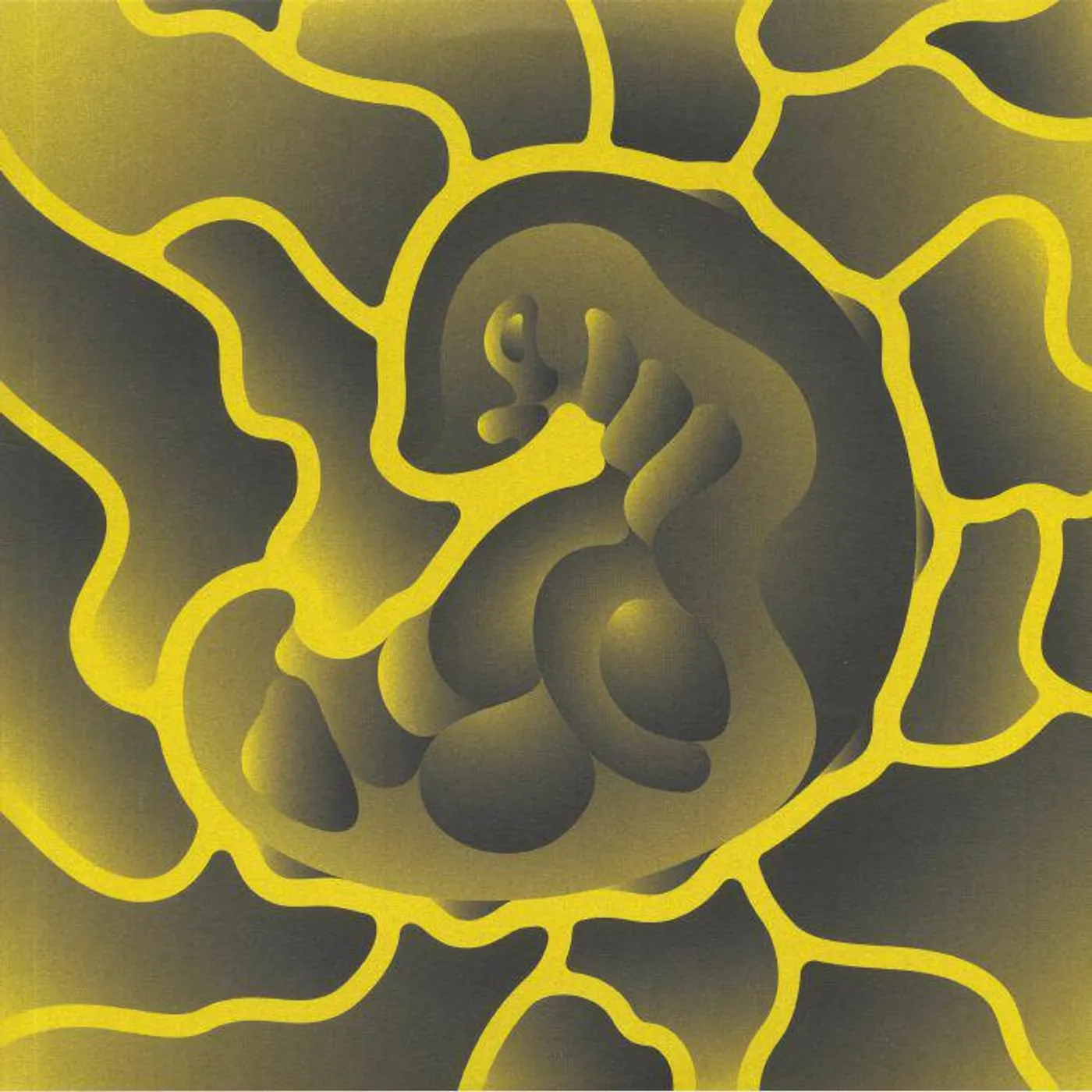 Forest Drive West THEY LIVE Vinyl Record