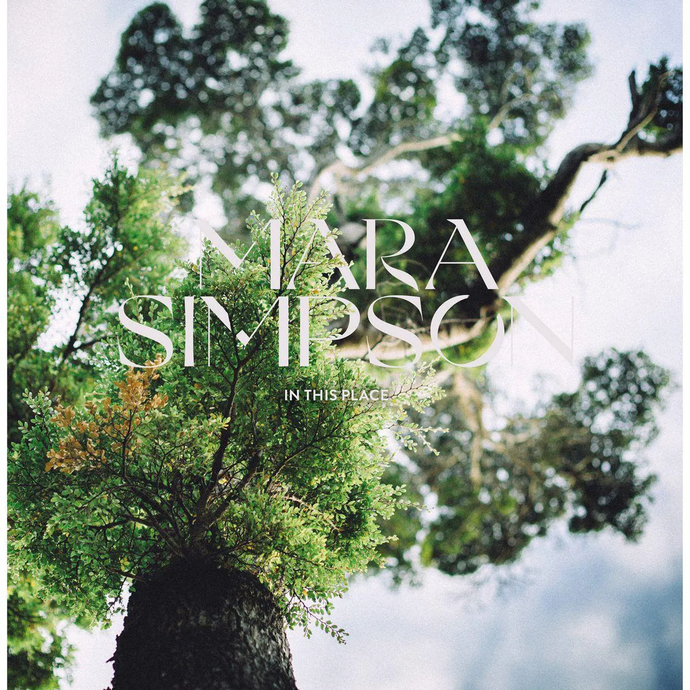 Mara Simpson IN THIS PLACE CD