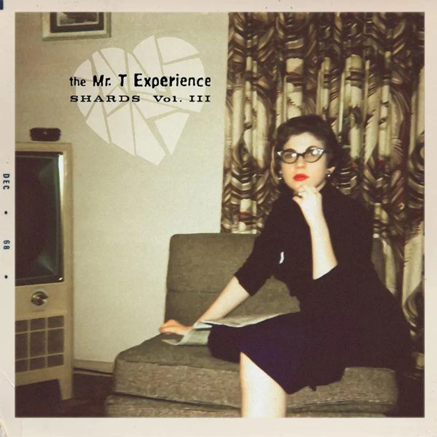 The Mr. T Experience SHARDS VOL. 3 CD
