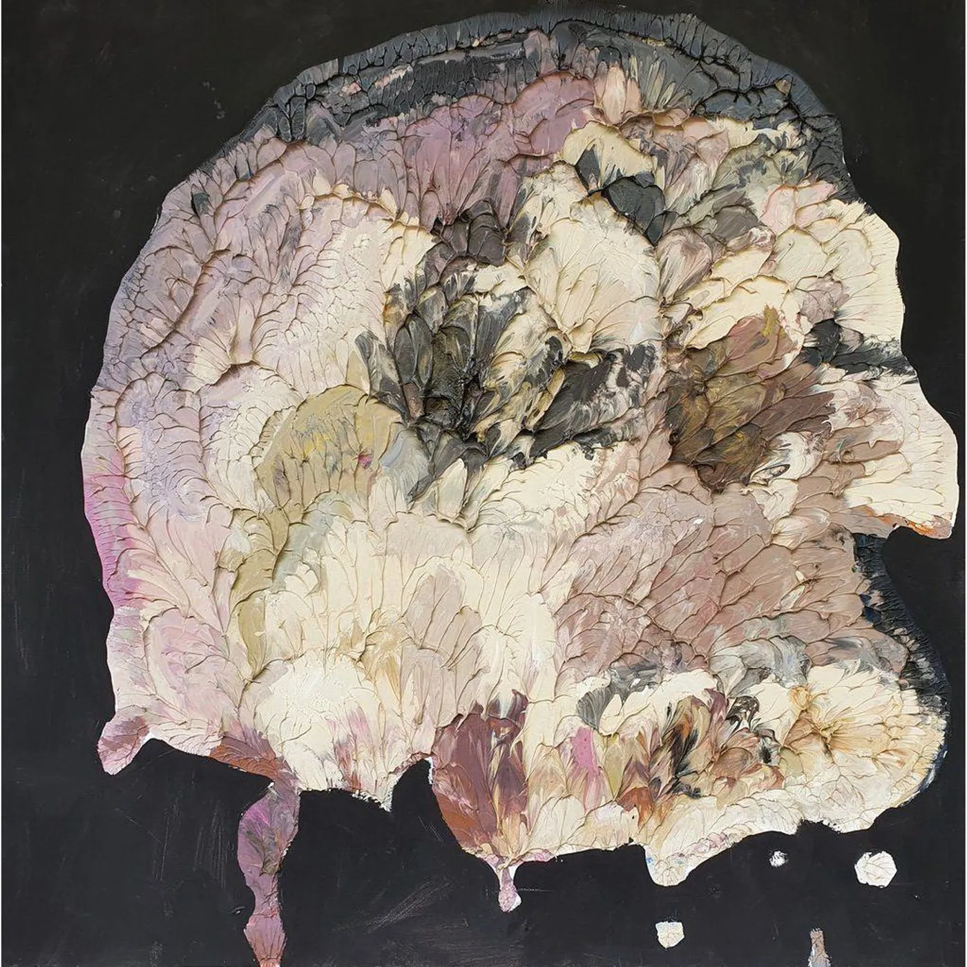 Shining Bird Deadlands Vinyl Record