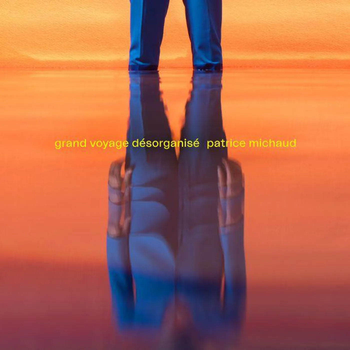 Patrice Michaud GRAND VOYAGE DESORGANISE CD