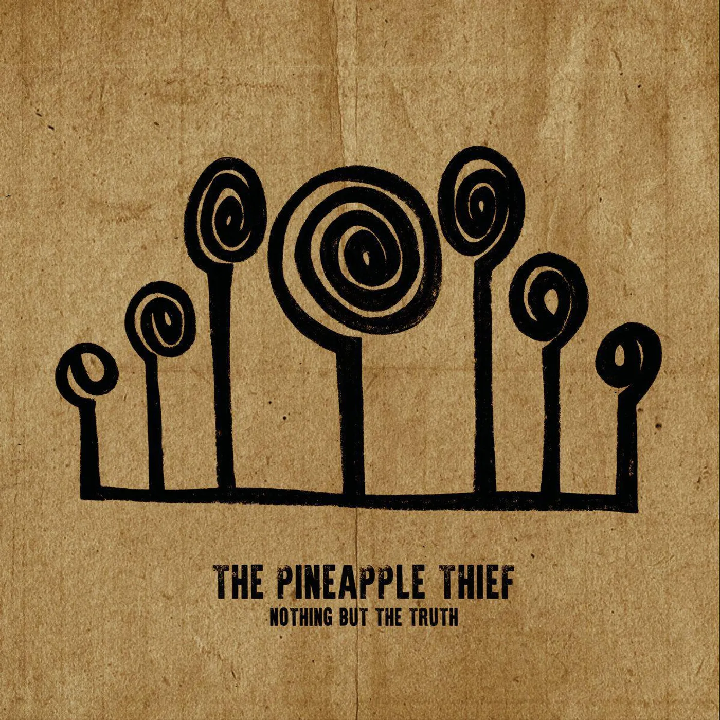 The Pineapple Thief Nothing But The Truth Vinyl Record