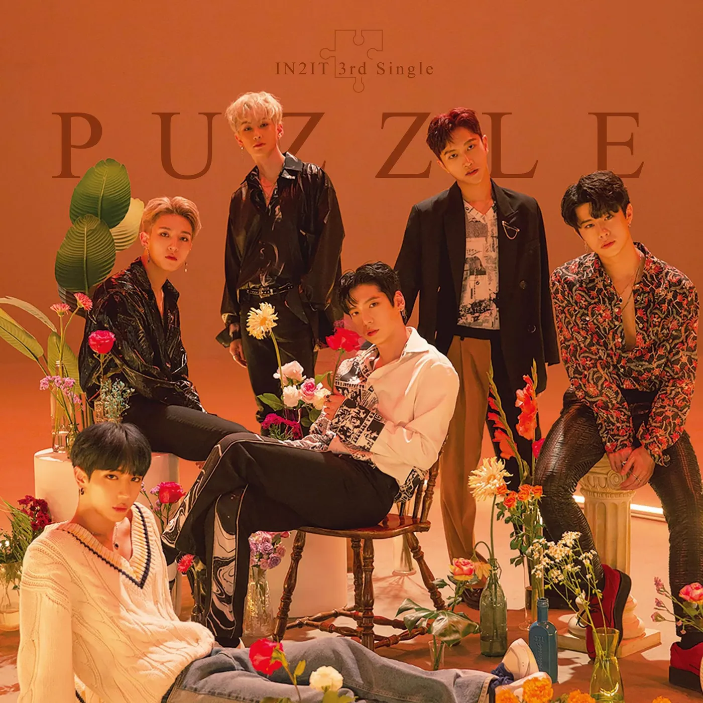 IN2IT PUZZLE Vinyl Record