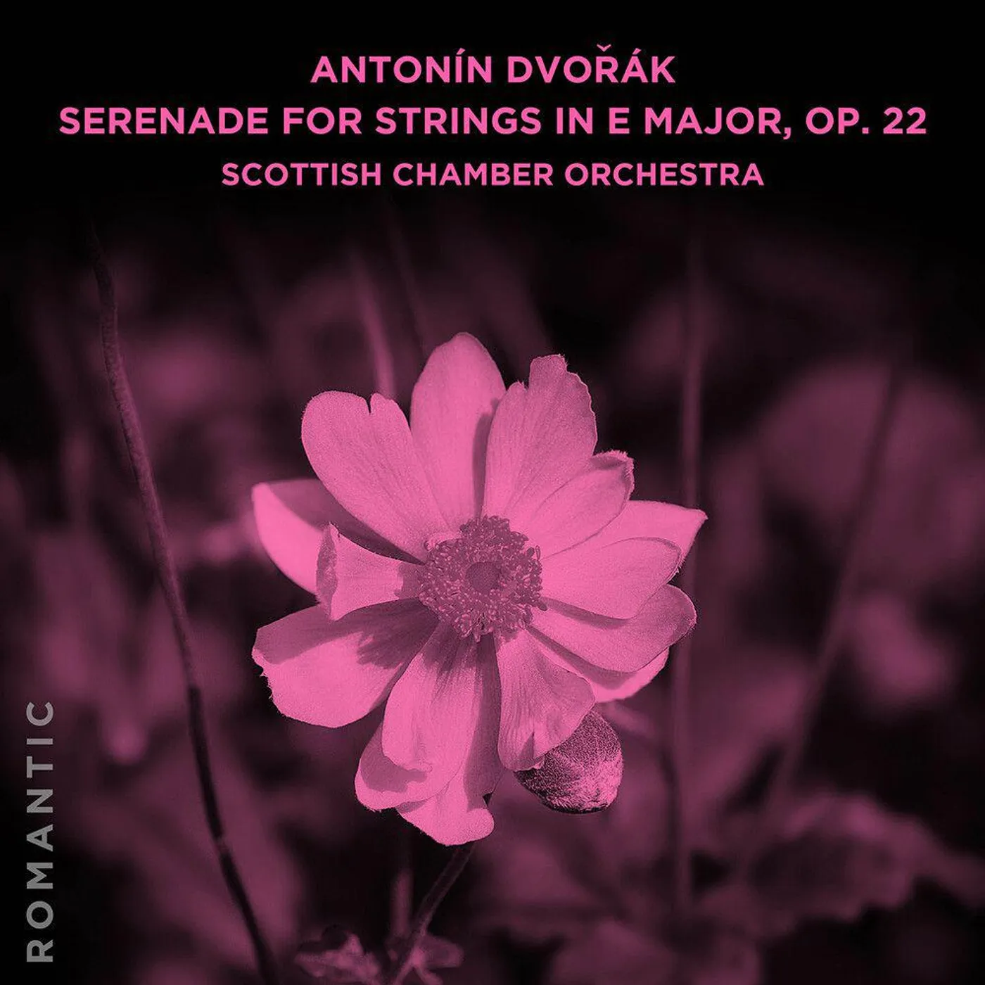 Scottish Chamber Orchestra ANTONIN DVORAK: SERENADE FOR STRINGS IN E MAJOR OP CD