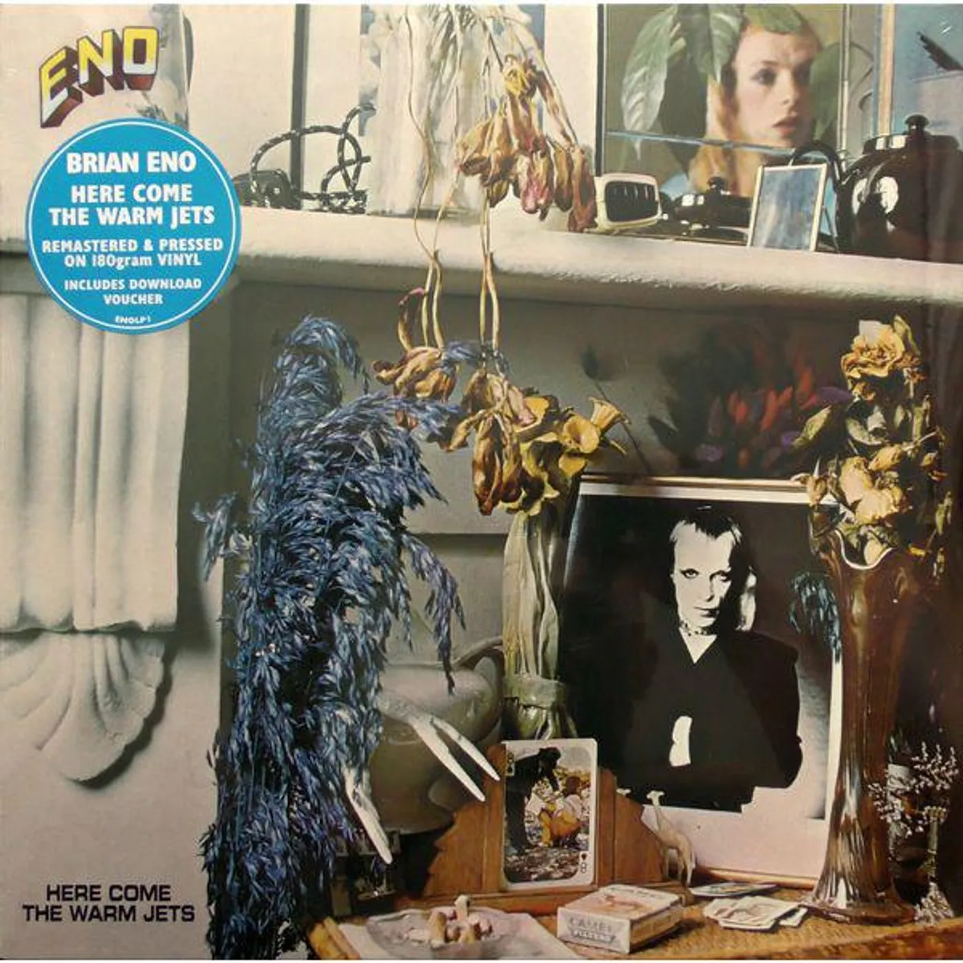 Brian Eno Here Come The Warm Jets Vinyl Record
