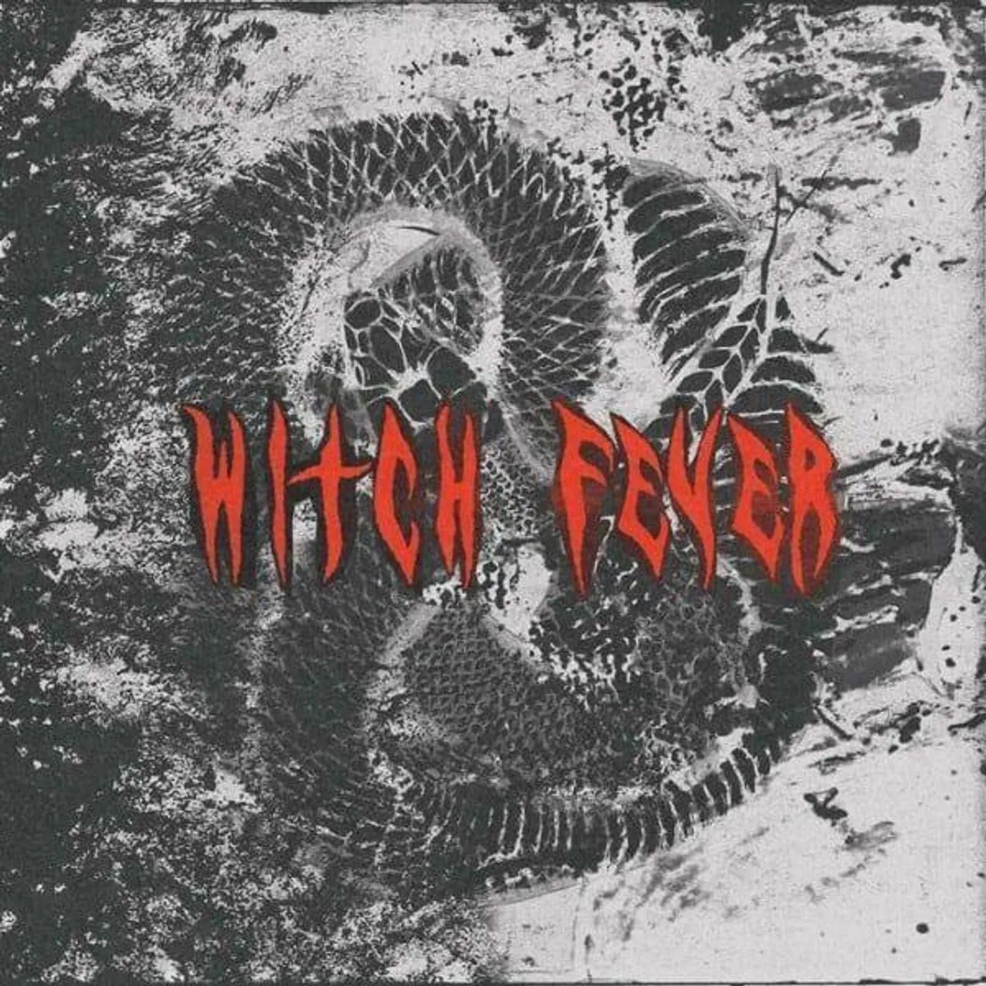 Witch Fever Reincarnate Vinyl Record