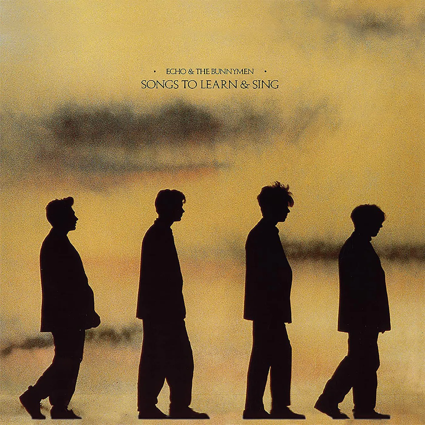 Echo & the Bunnymen SONGS TO LEARN & SING (2021) Vinyl Record