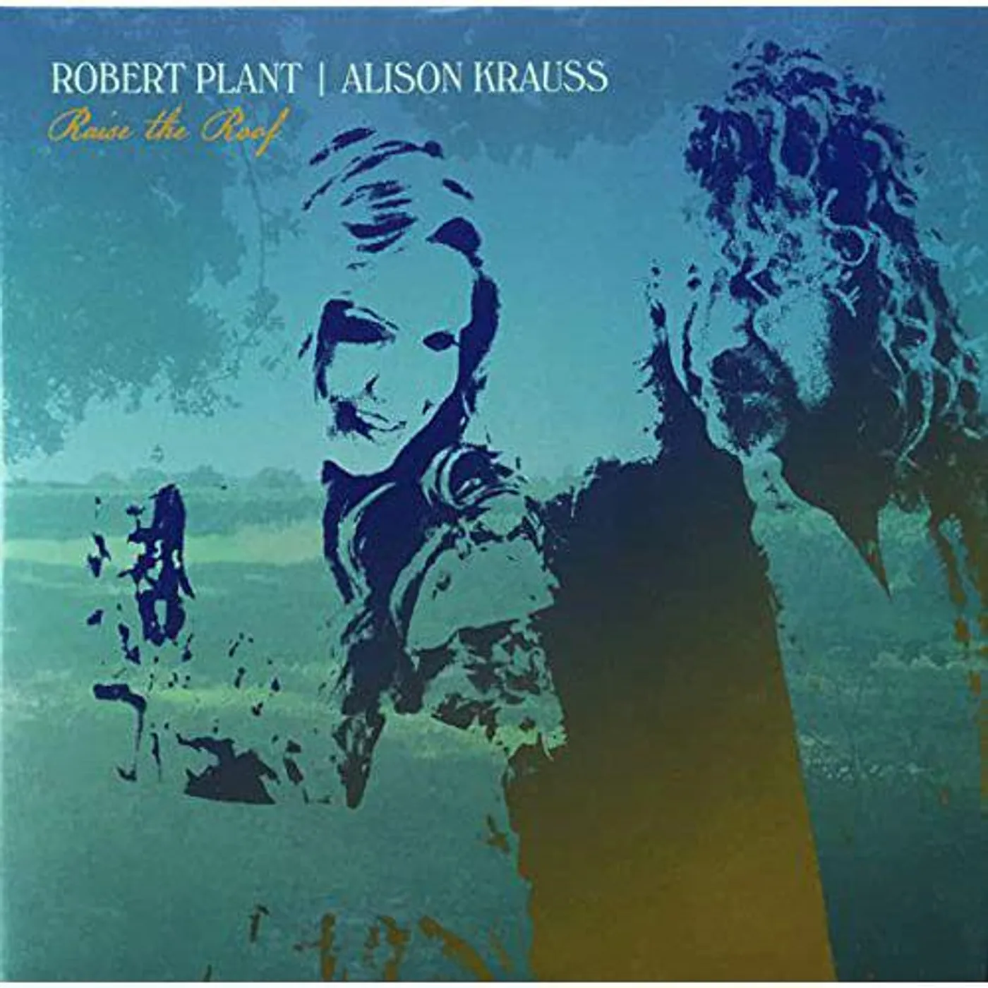 Robert Plant / Alison Krauss Raise The Roof Vinyl Record