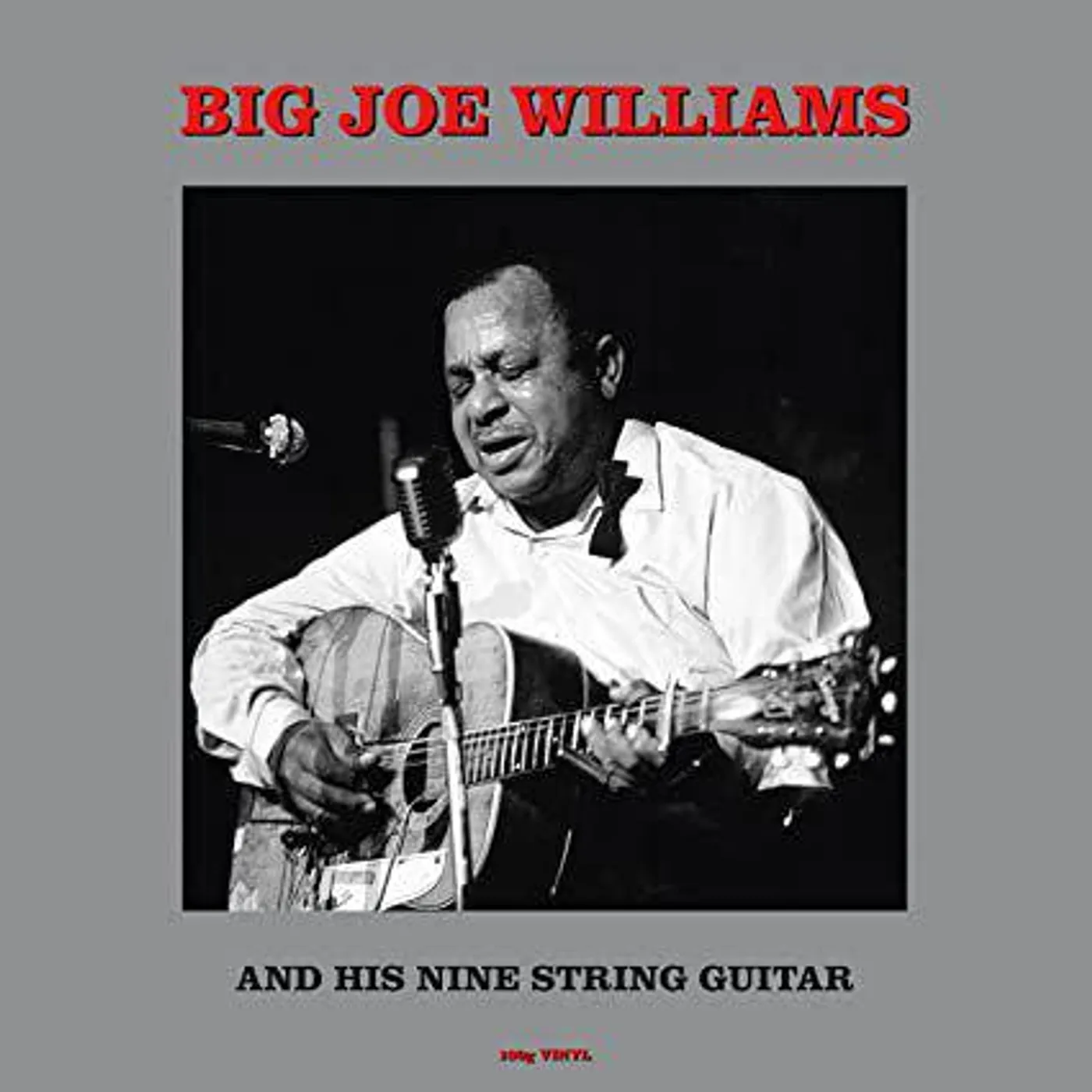 Big Joe Williams & His Nine String Guitar Vinyl Record
