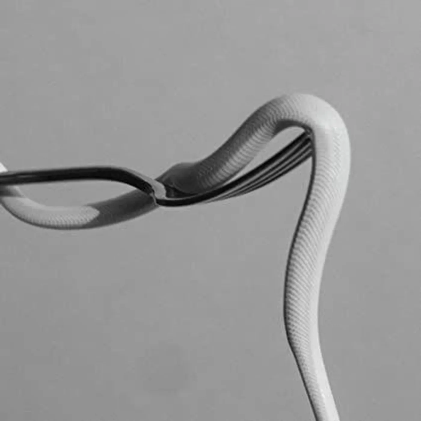 Animals As Leaders PARRHESIA (OPAQUE BABY PINK) Vinyl Record