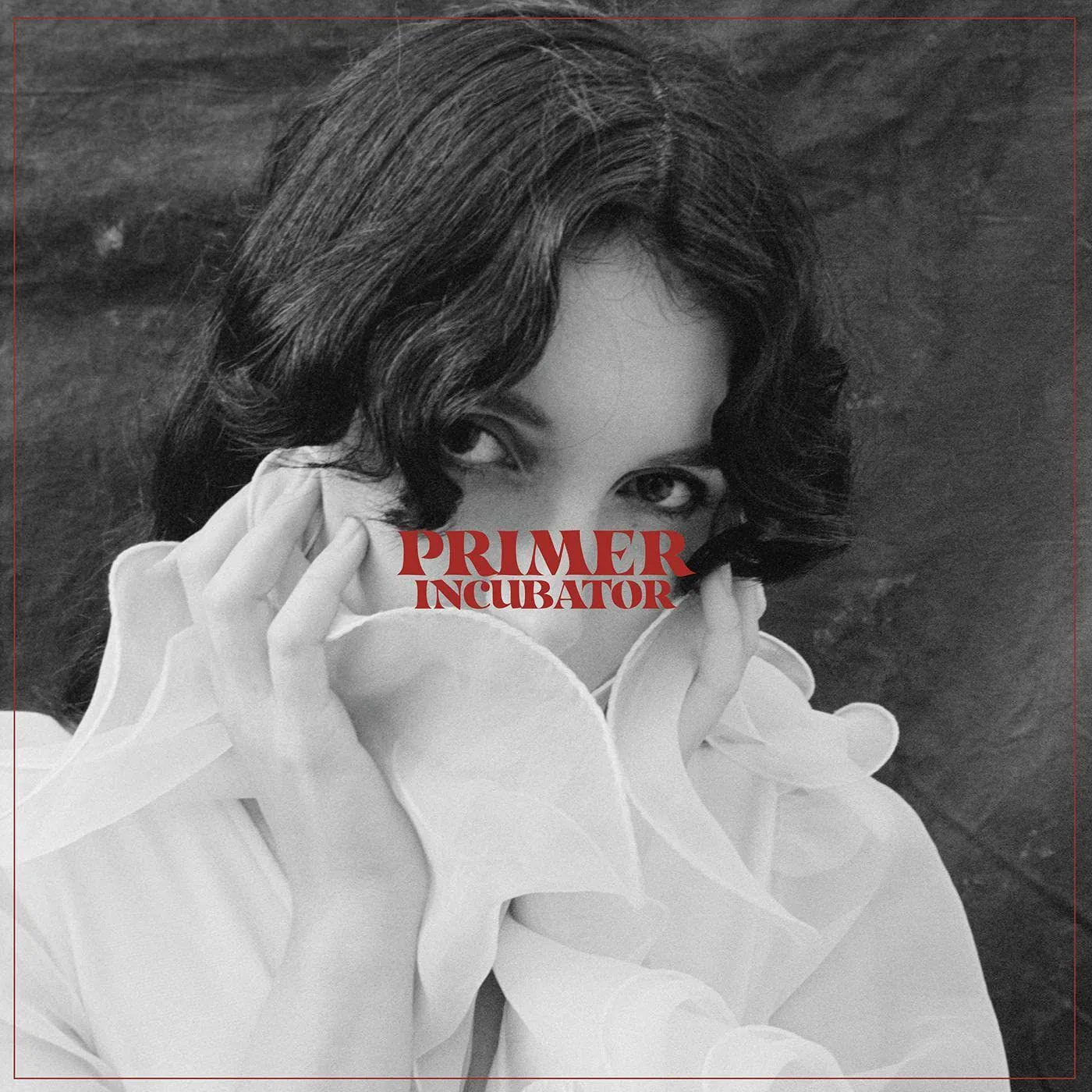 Primer Incubator Vinyl Record