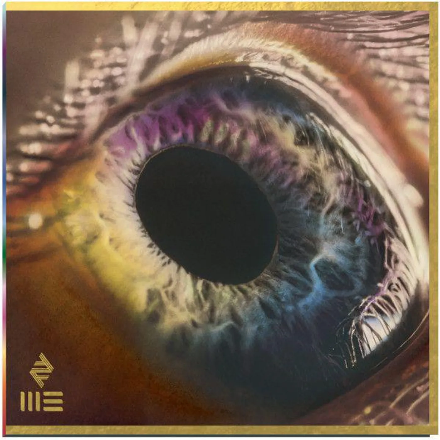 Arcade Fire WE (180G) Vinyl Record