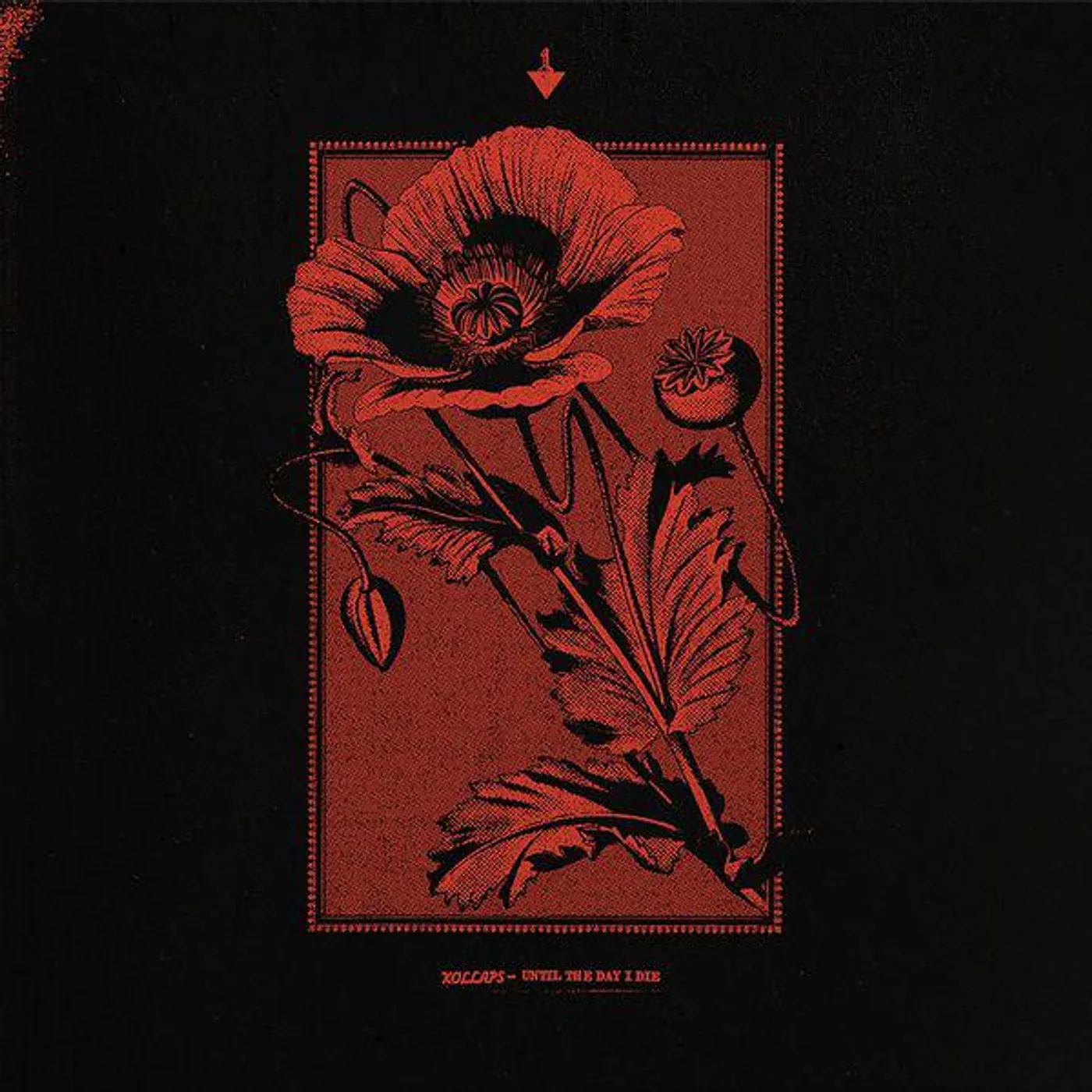 Kollaps UNTIL THE DAY I DIE Vinyl Record