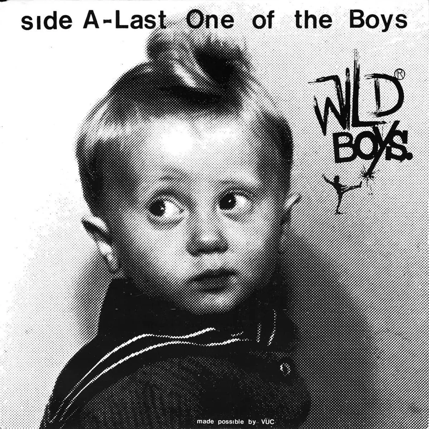 Wild Ones Wild Boys - Last One Of The Boys / We're Only Vinyl Record