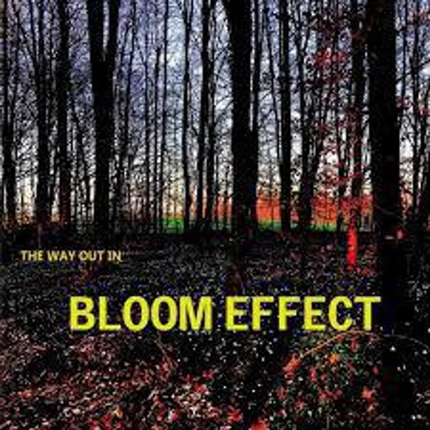 Bloom Effect WAY OUT IN CD