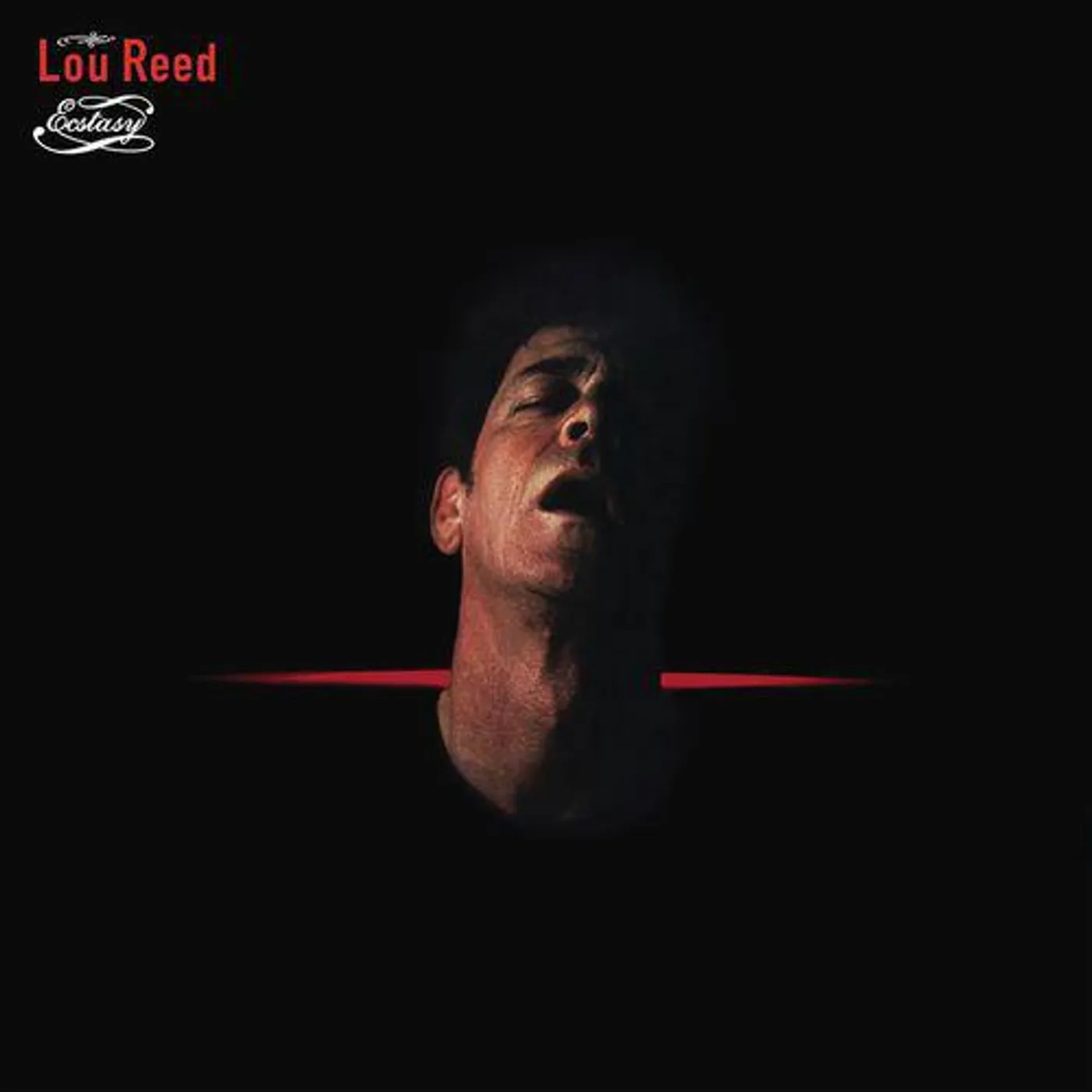Lou Reed Ecstasy Vinyl Record