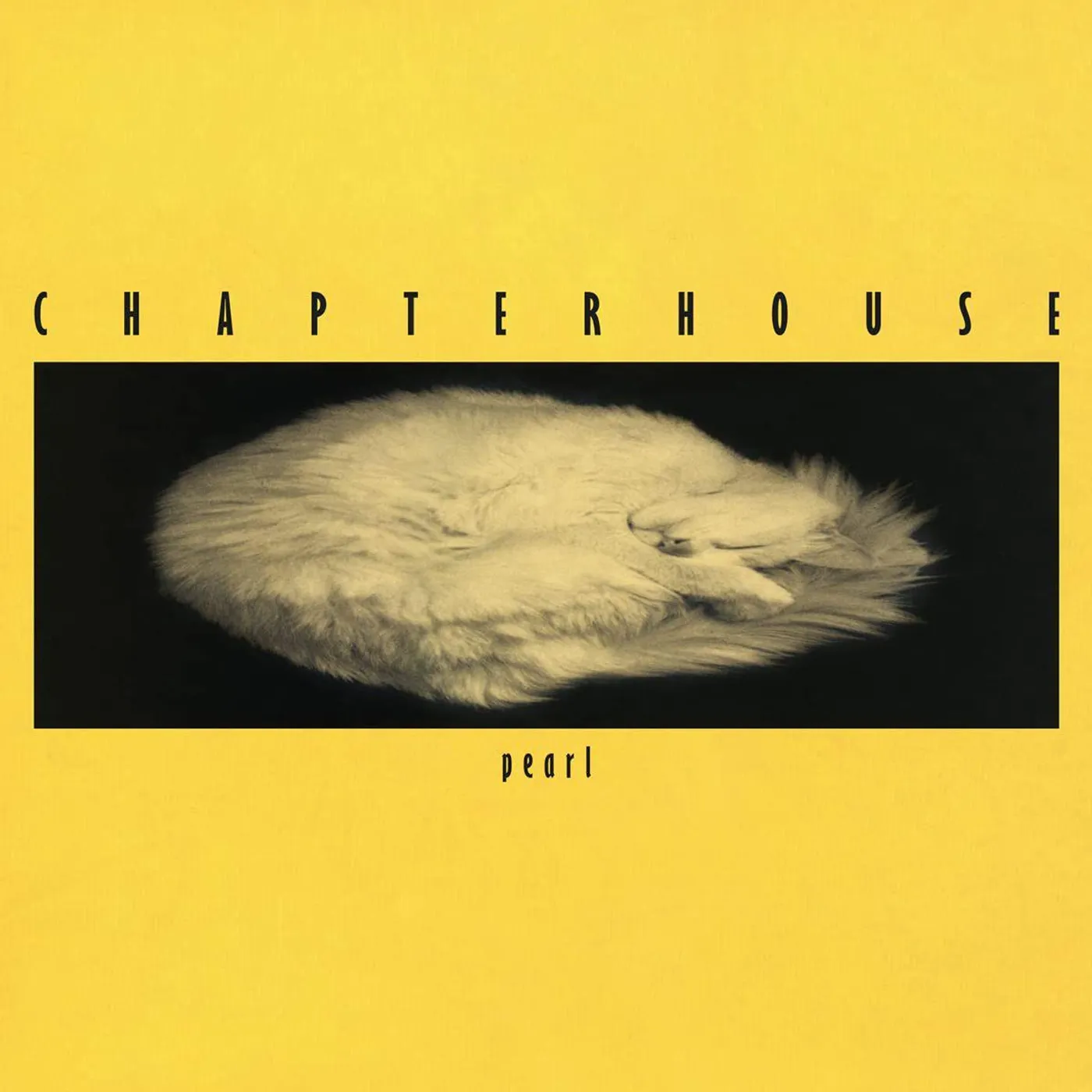 Chapterhouse PEARL Vinyl Record
