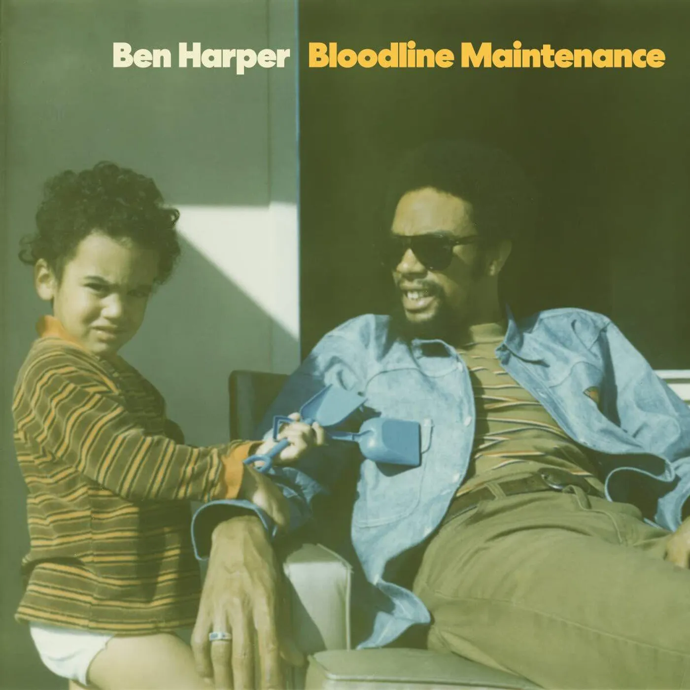 Ben Harper Bloodline Maintenance Vinyl Record