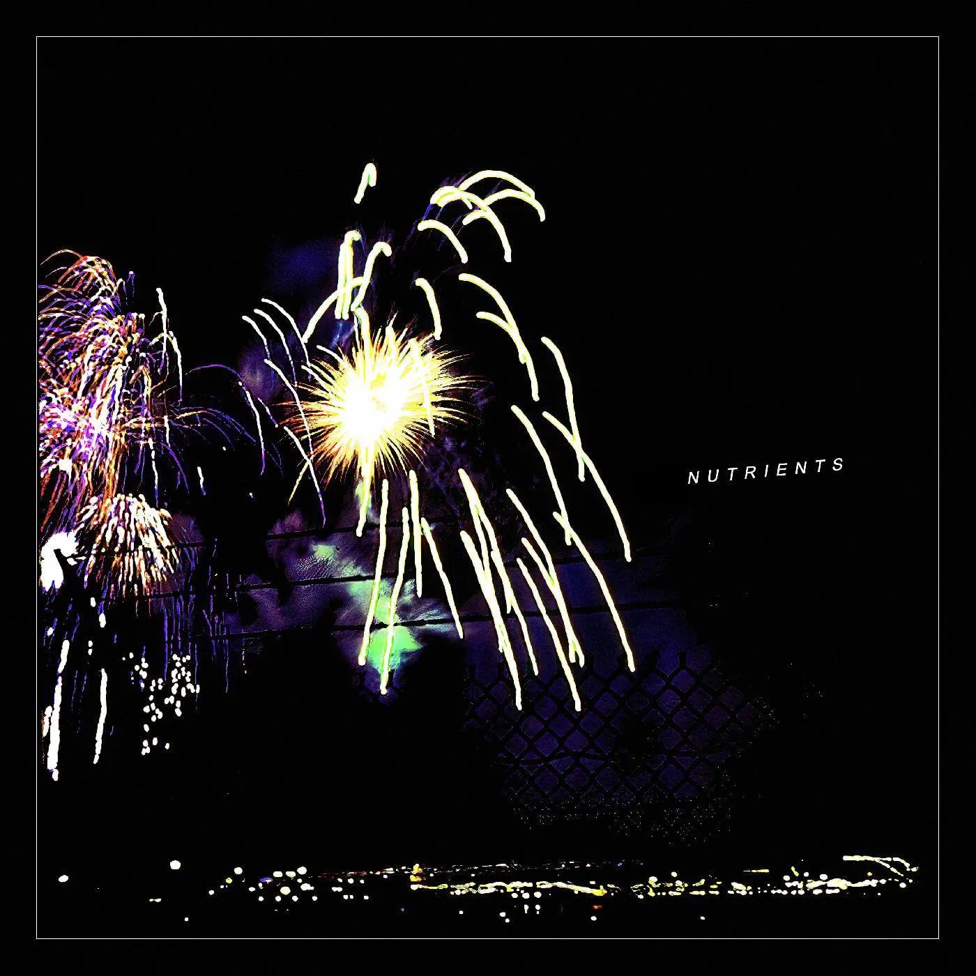 Nutrients Different Bridges Vinyl Record