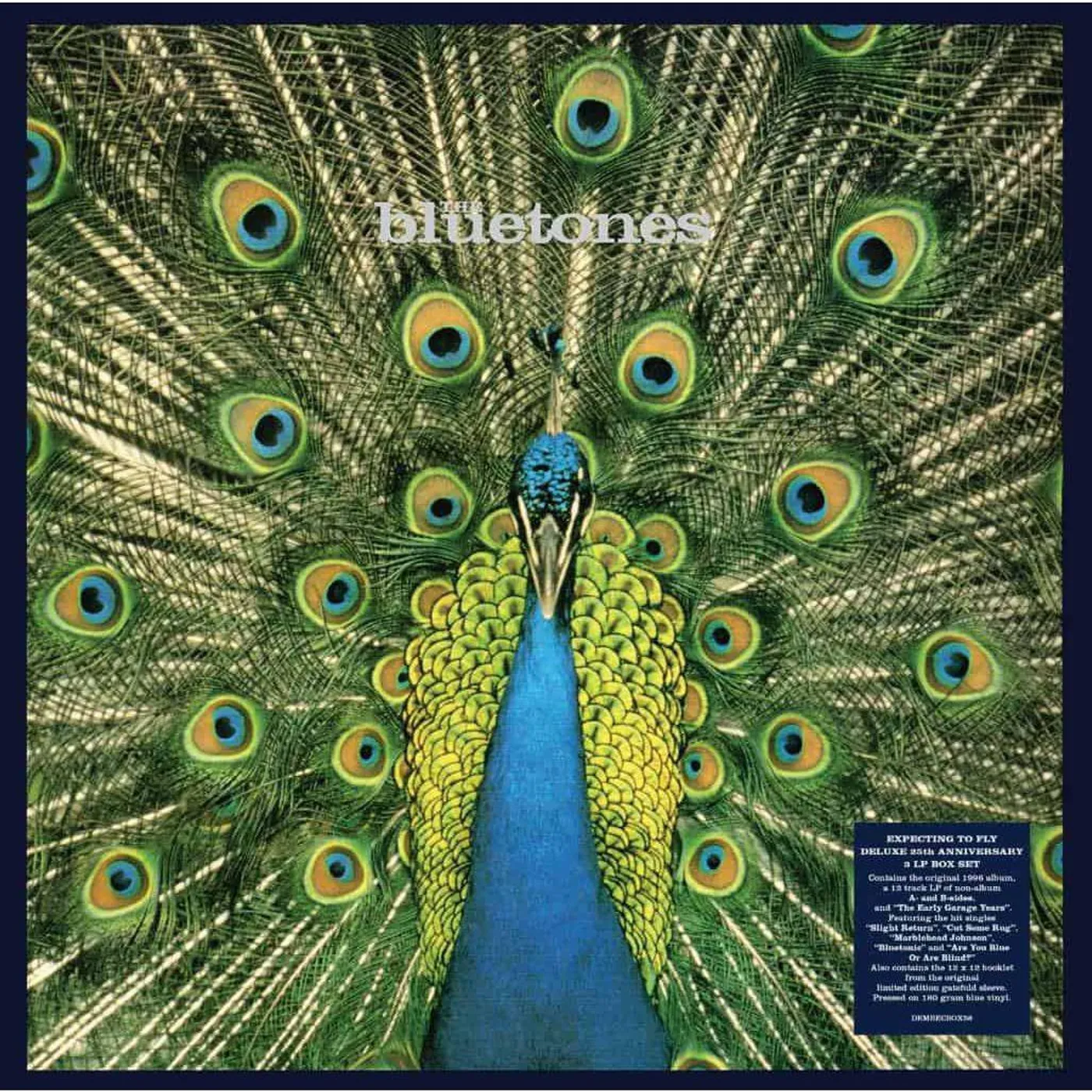 The Bluetones Expecting To Fly: 25th Anniversary (Clear) Vinyl Record