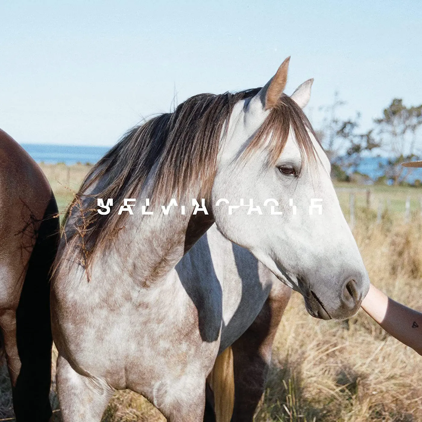 salvia palth Melanchole - Double Mint Vinyl Record