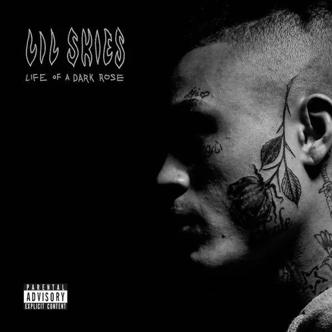 Lil Skies Life Of A Dark Rose Vinyl Record