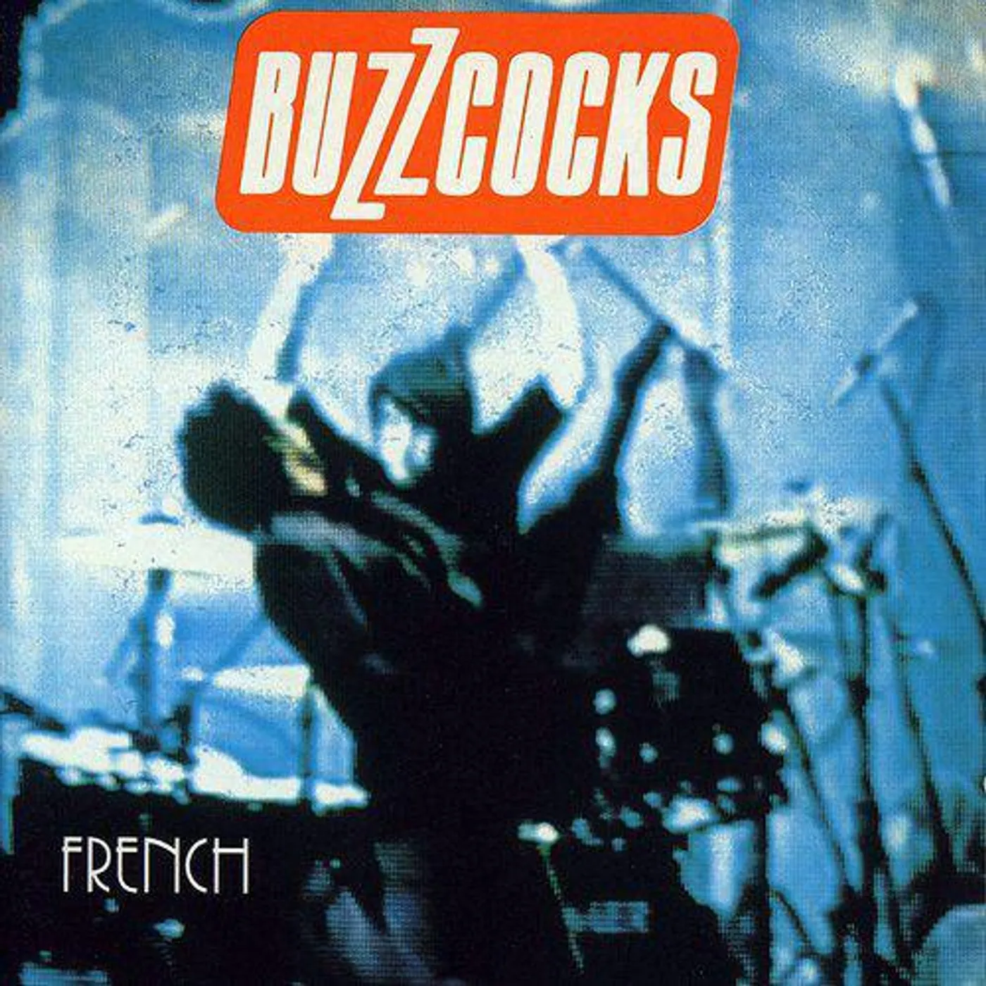 Buzzcocks French Vinyl Record
