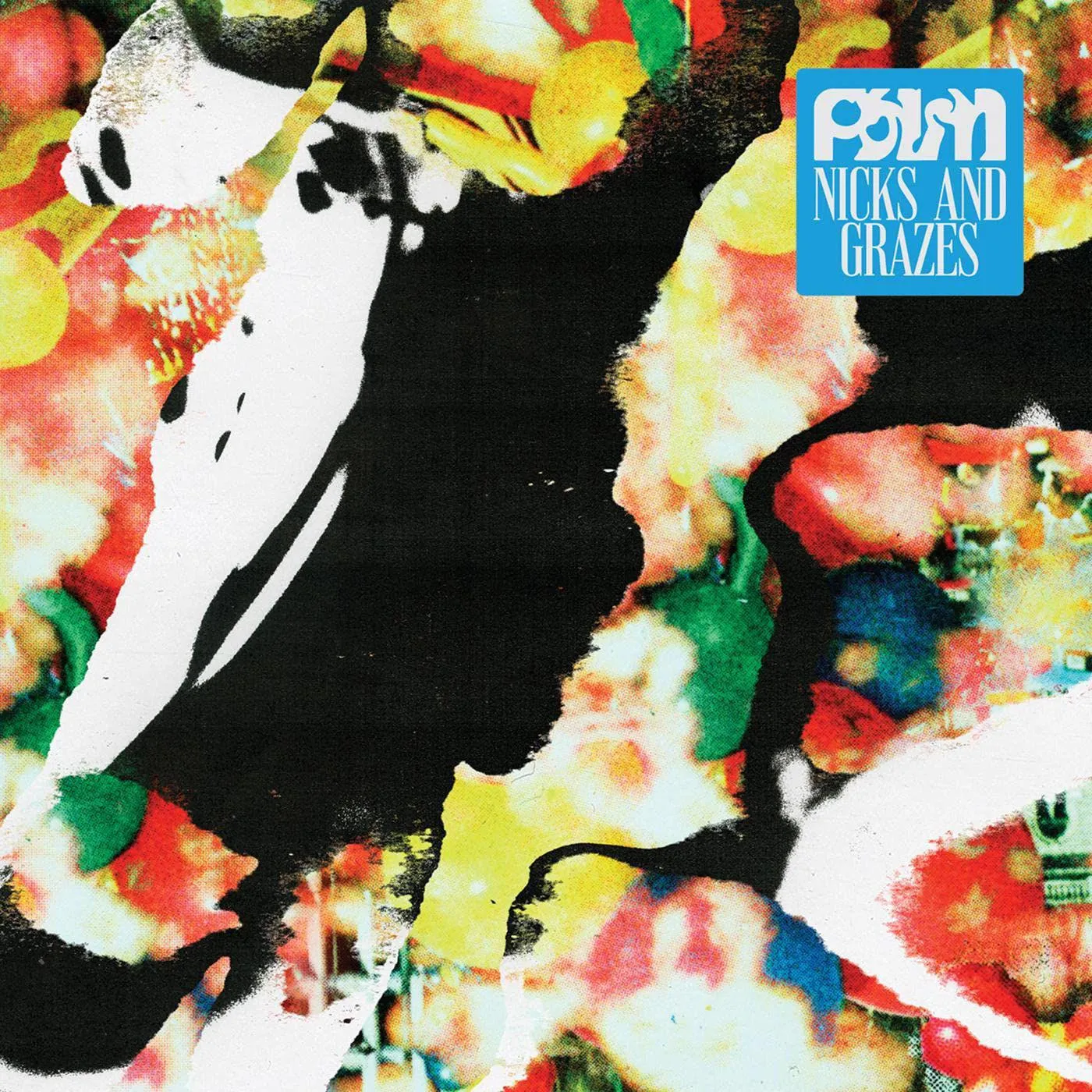 Palm Nicks and Grazes Vinyl Record