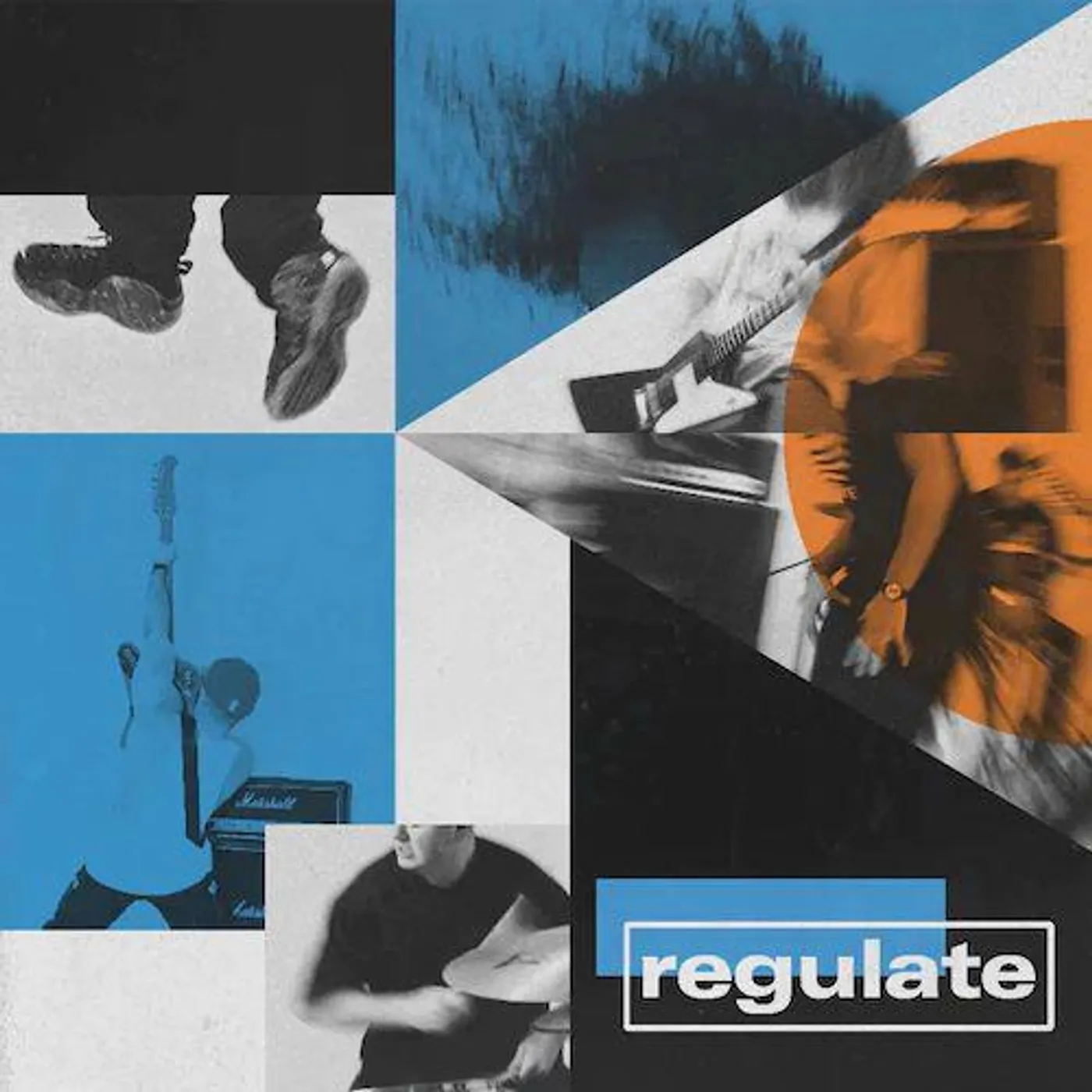 Regulate Vinyl Record