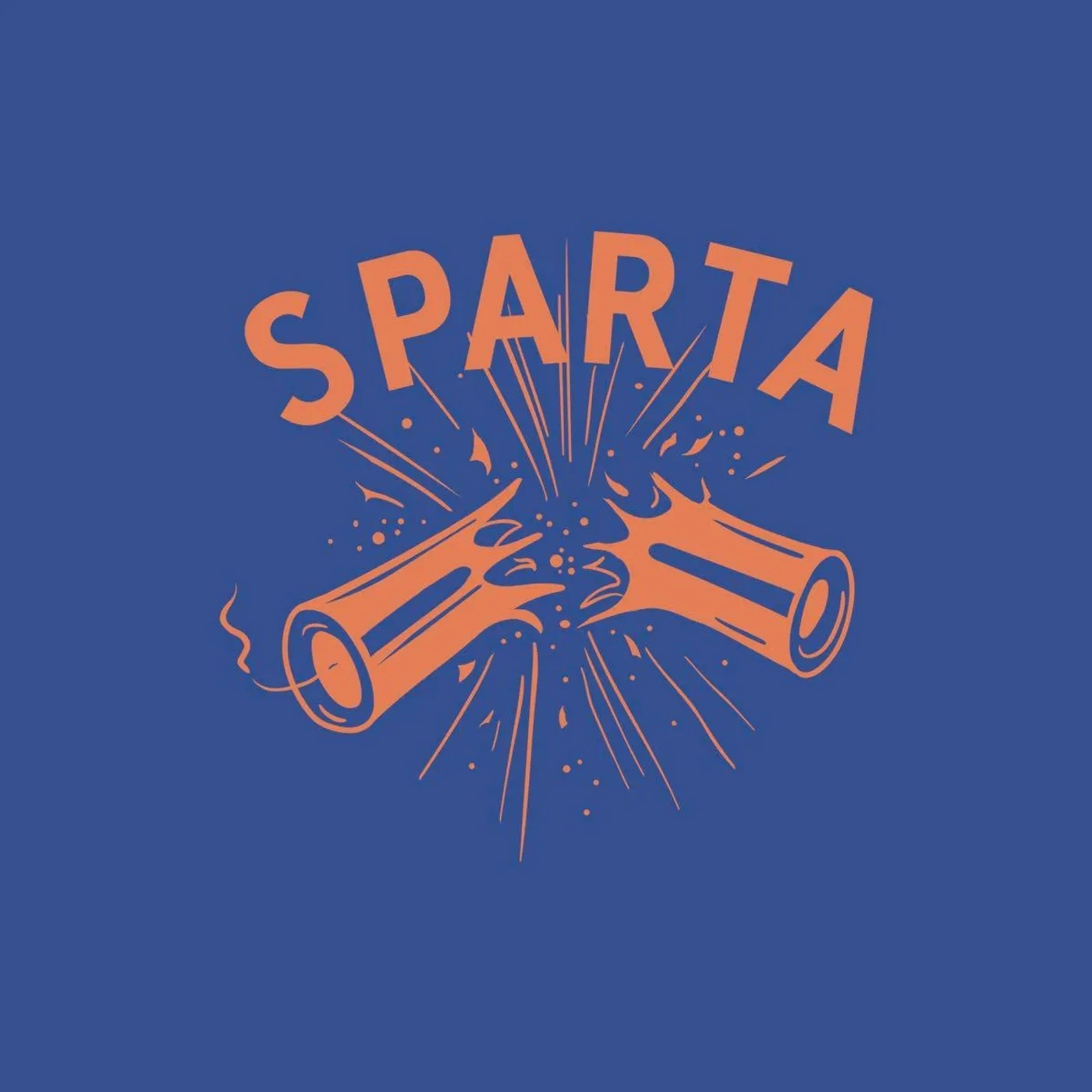 Sparta Vinyl Record