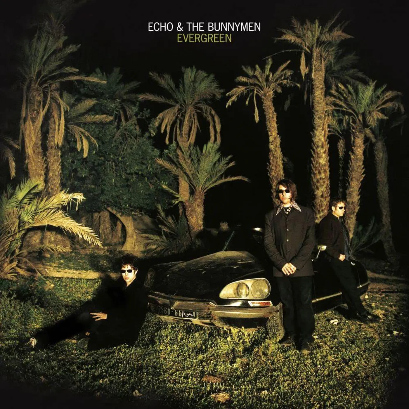 Echo & the Bunnymen Evergreen (25 Year Anniversary Edition) Vinyl Record