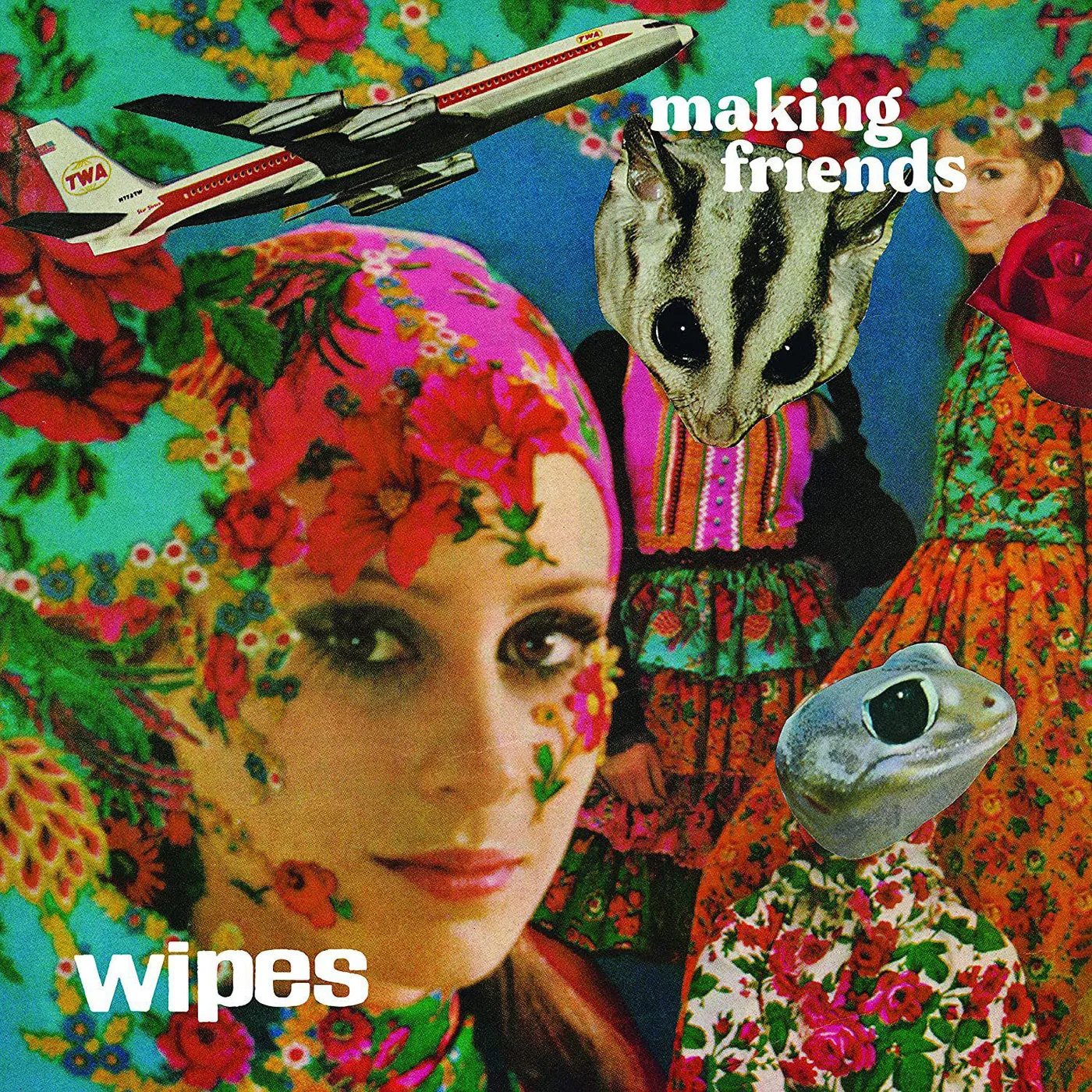 $wipes Making Friends Vinyl Record