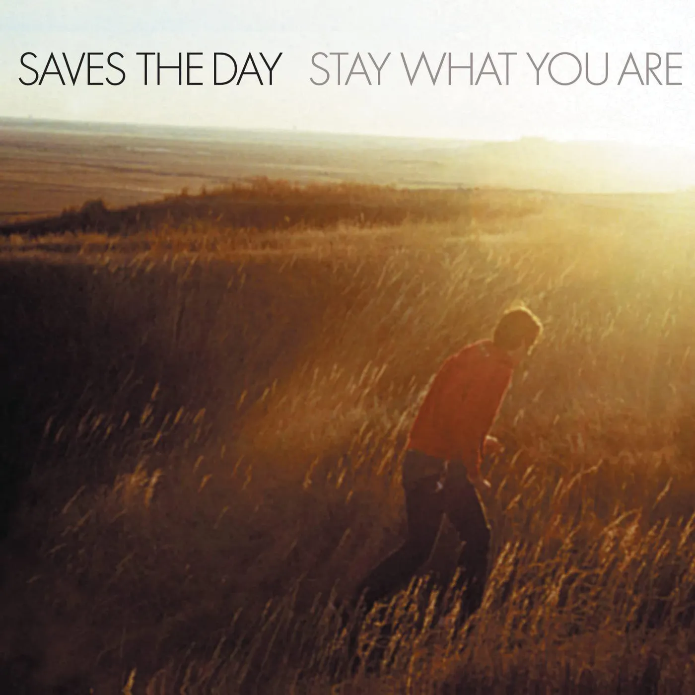 Saves The Day Stay What You Are (2LP/10") Vinyl Record