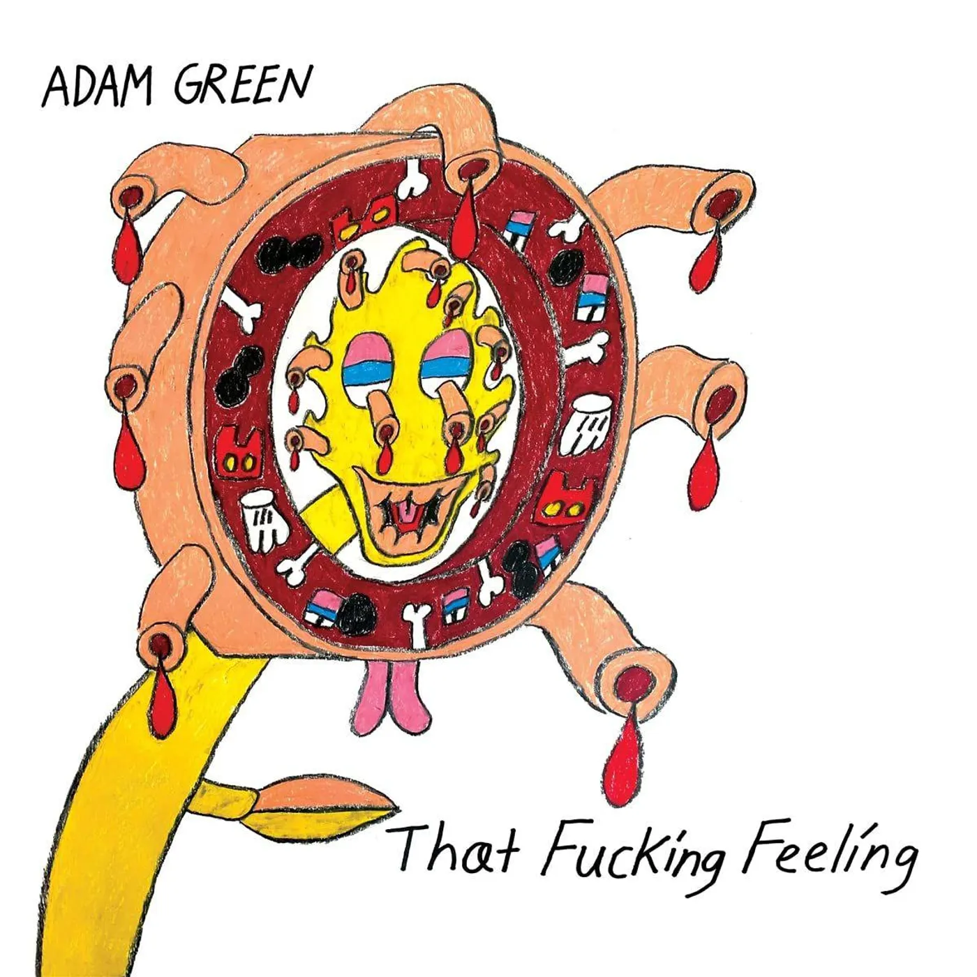 Adam Green That Fucking Feeling CD