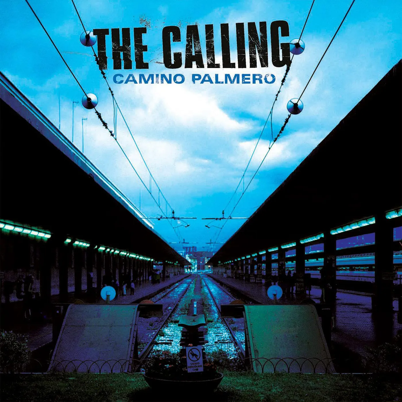 The Calling Camino Palmero - Limited Translucent Blue Vinyl Record