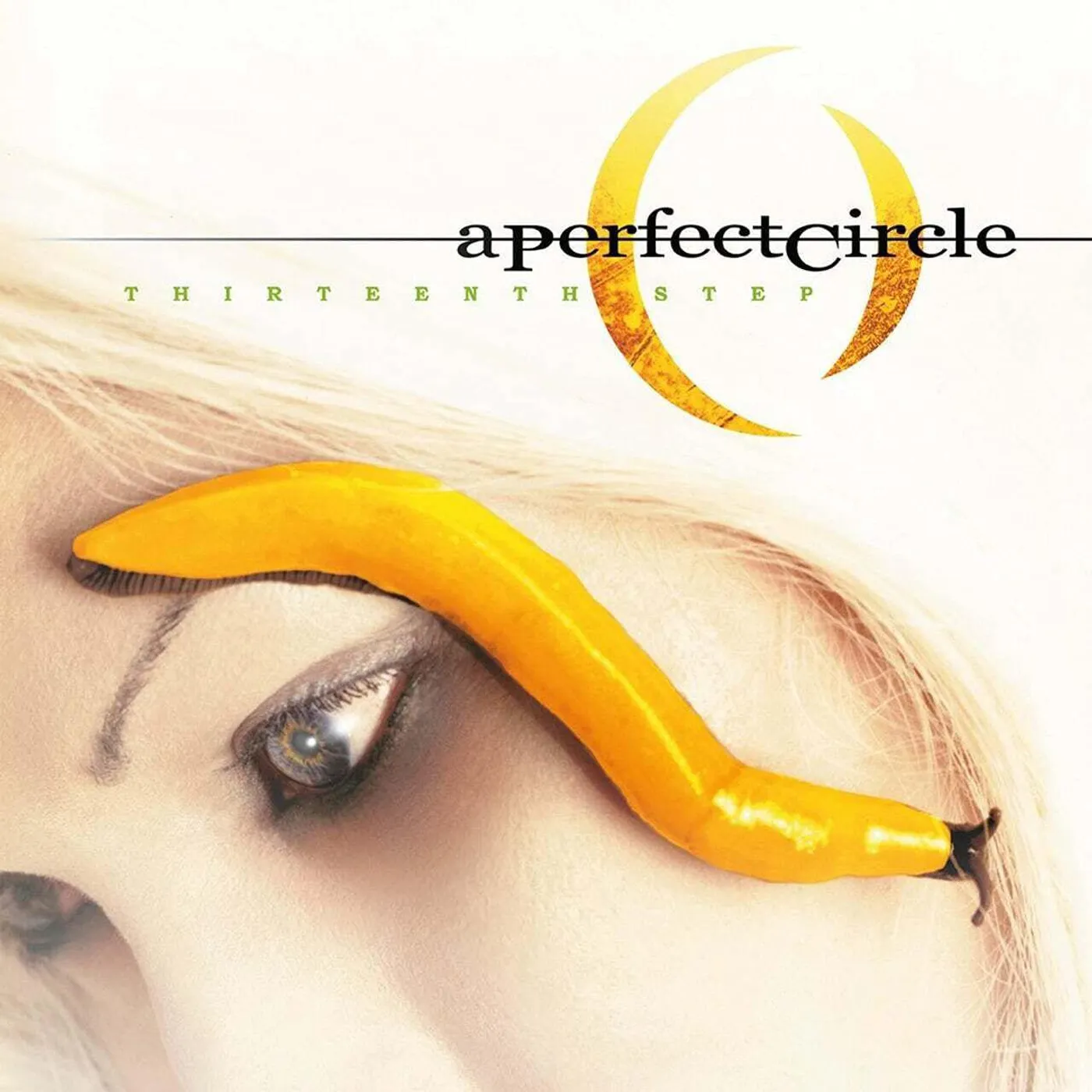 A Perfect Circle Thirteenth Step (2LP) Vinyl Record