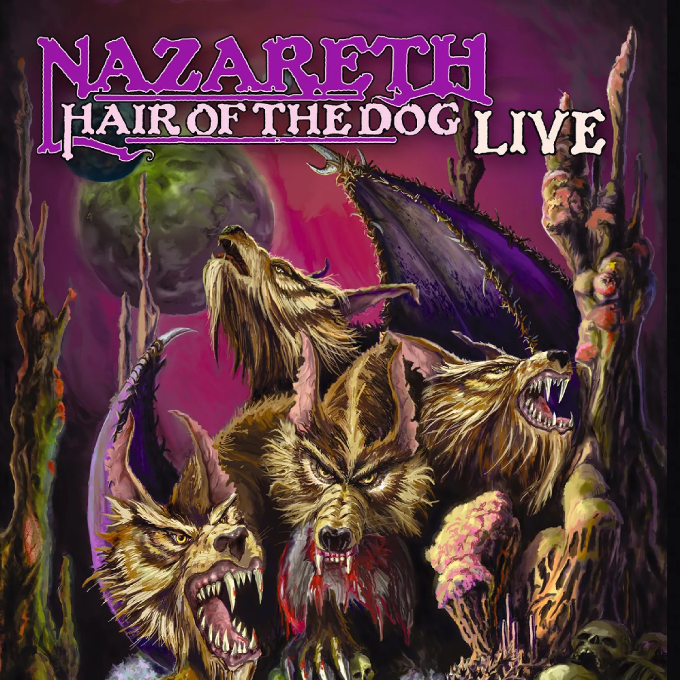 Nazareth Hair Of The Dog Vinyl Record