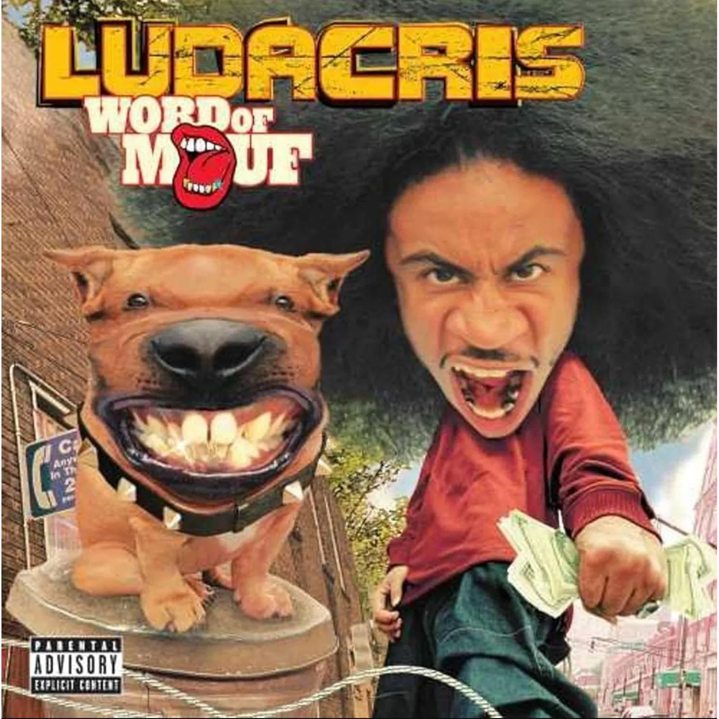 Ludacris Word Of Mouf Vinyl Record
