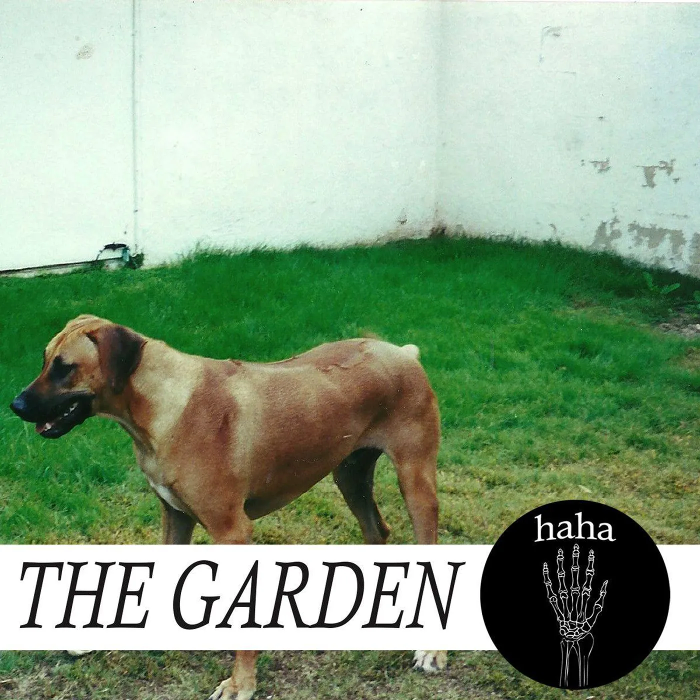 The Garden haha Vinyl Record