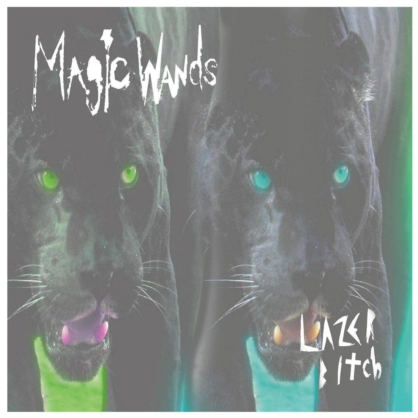 Magic Wands LAZER BITCH Vinyl Record