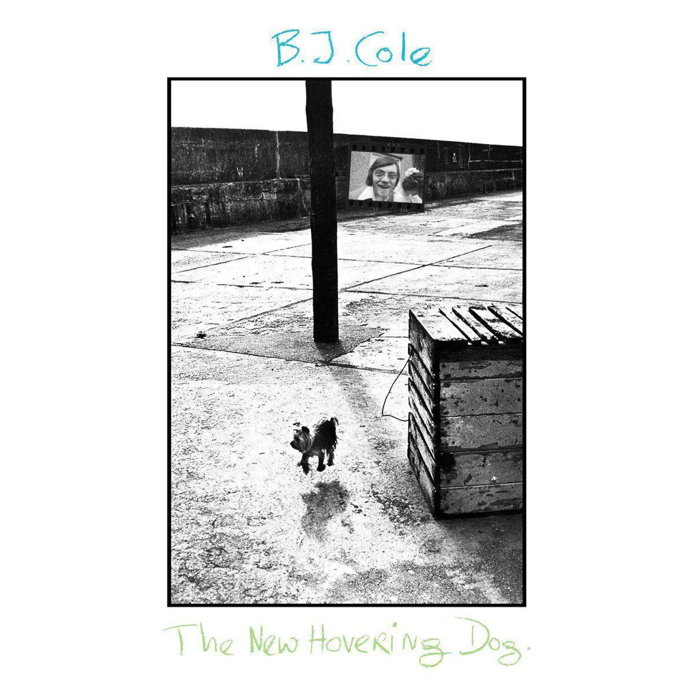 Bj Cole LP - The New Hovering Dog (Vinyl)