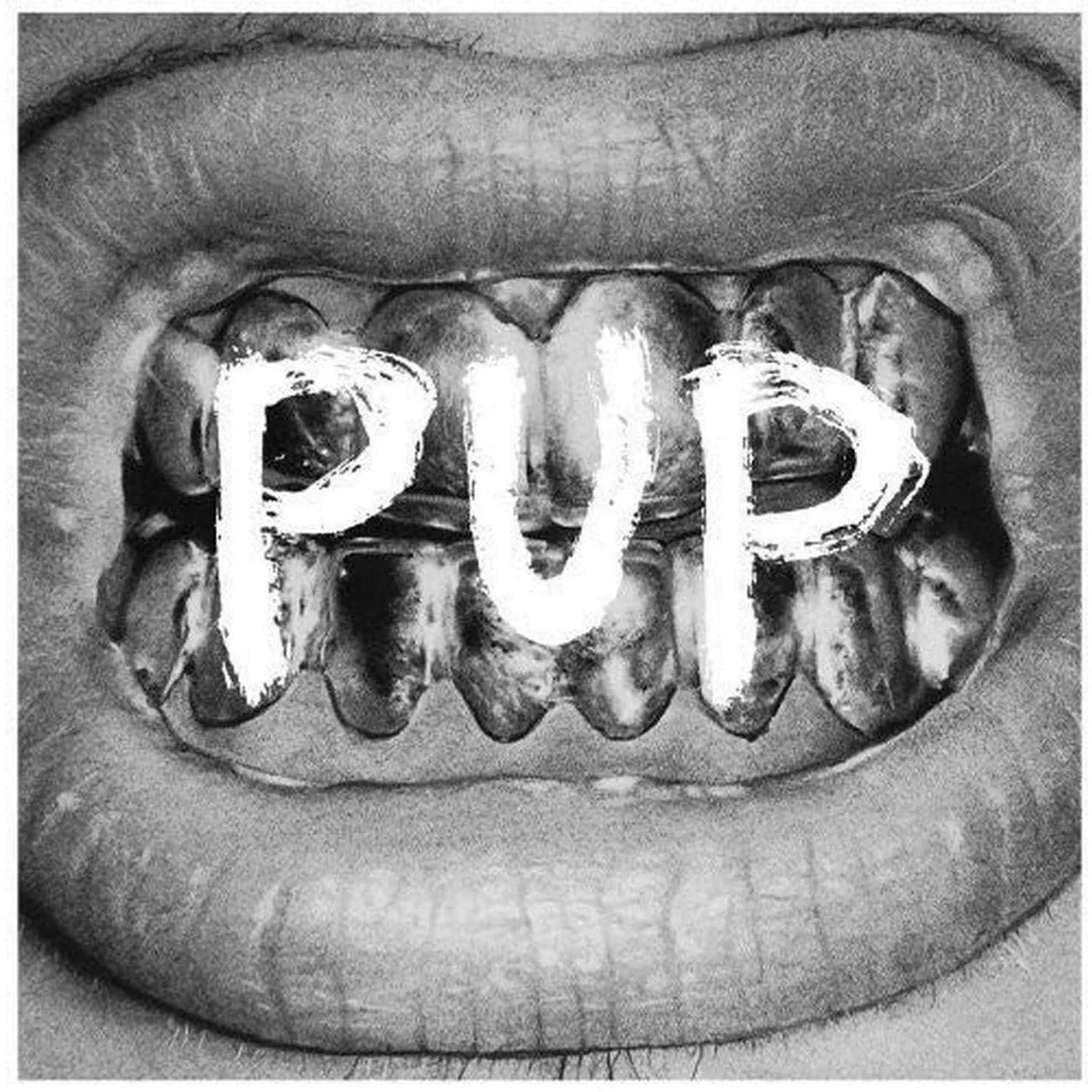 Pup LP - Pup (Vinyl)