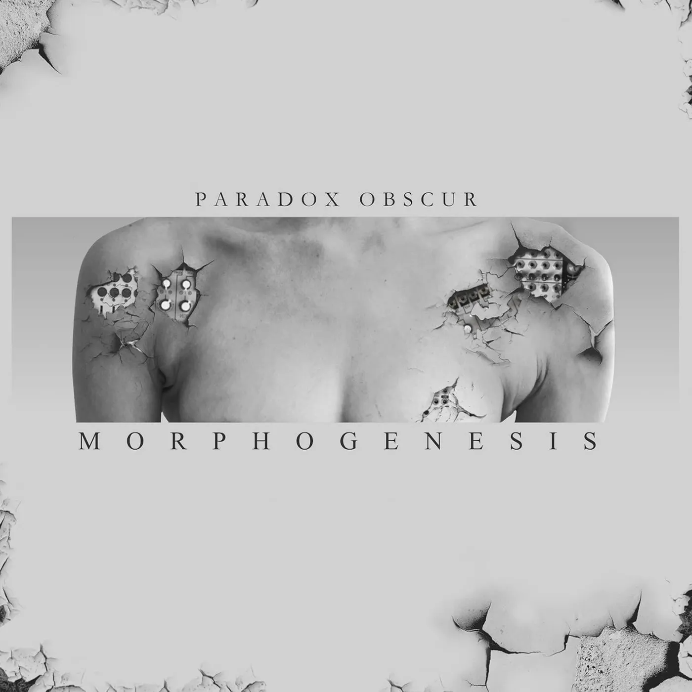 Paradox Obscur LP - Morphogenesis (Vinyl)