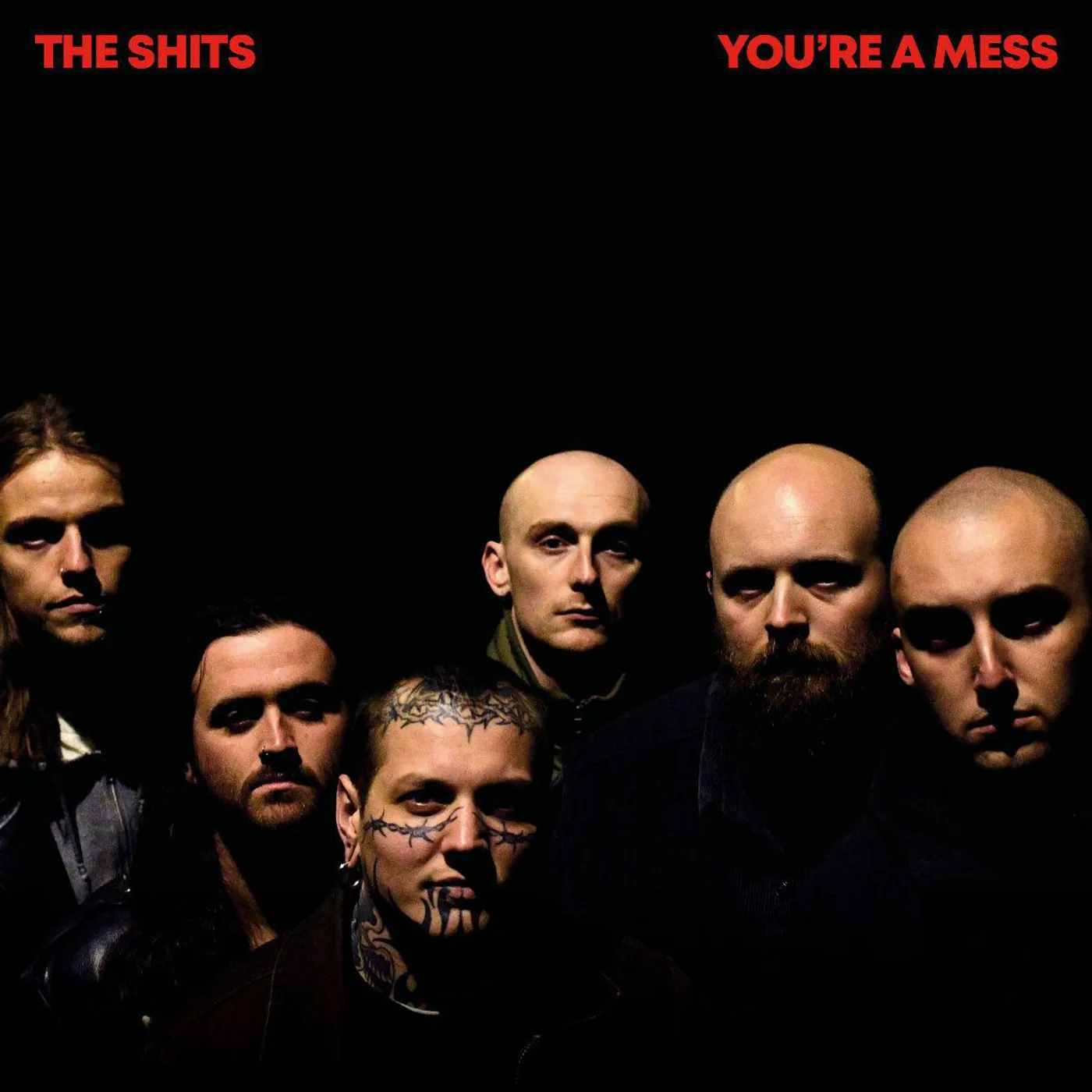 The Shits You're A Mess Vinyl Record