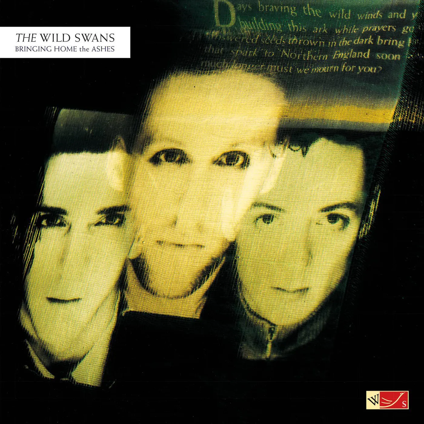 The Wild Swans Bringing Home The Ashes (Ltd Ed/Translucent Green/180G) Vinyl Record