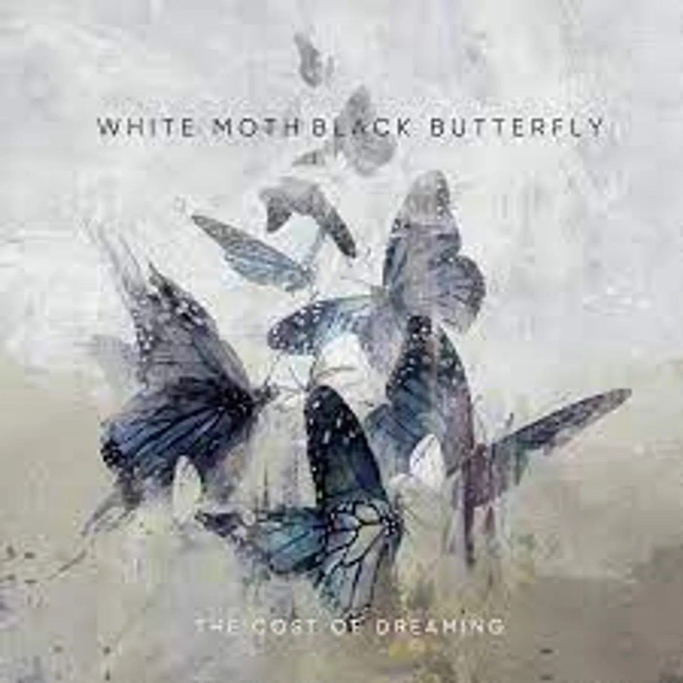 White Moth Black Butterfly COST OF DREAMING (180G) Vinyl Record