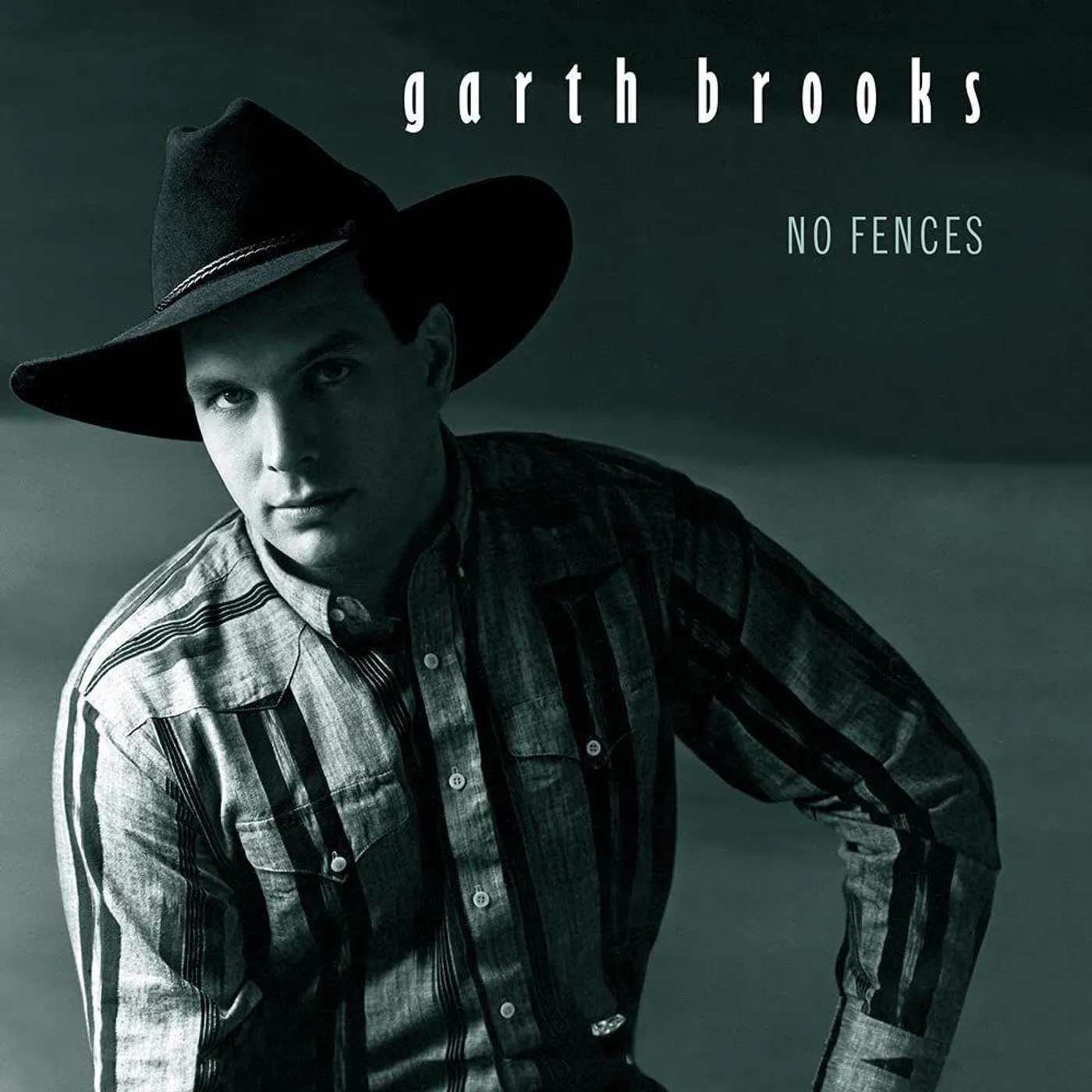 Garth Brooks No Fences Vinyl Record