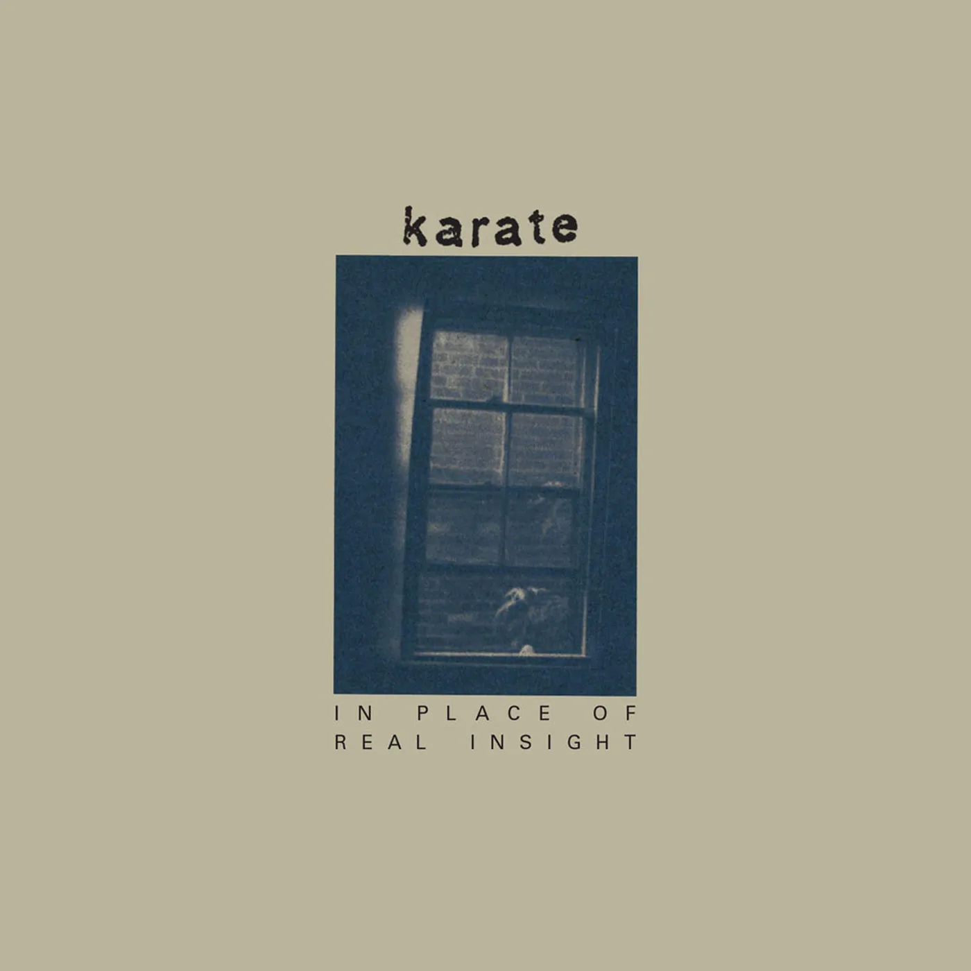 Karate In Place Of Real Insight Vinyl Record