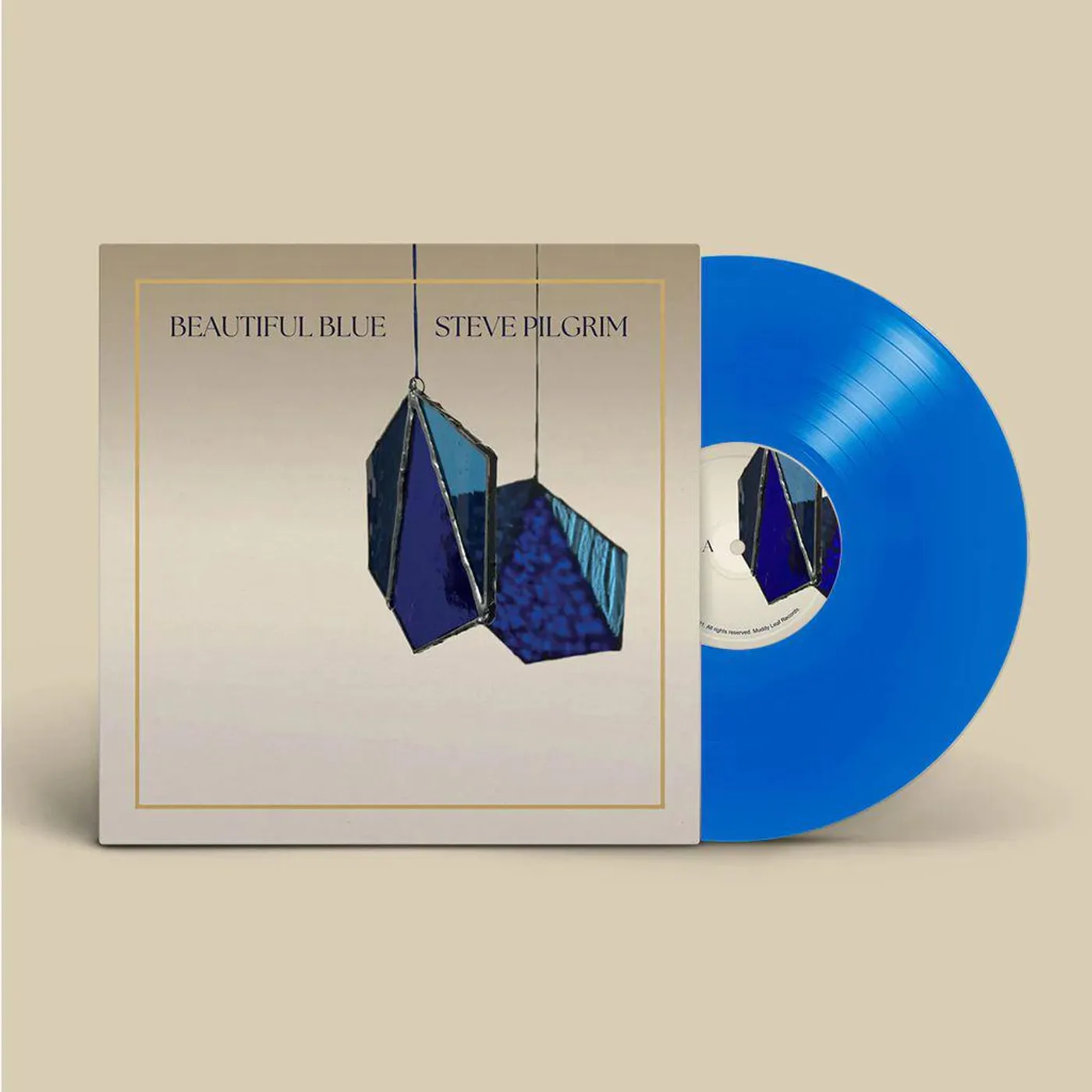 Steve Pilgrim Beautiful Blue (Blue Vinyl) Vinyl Record
